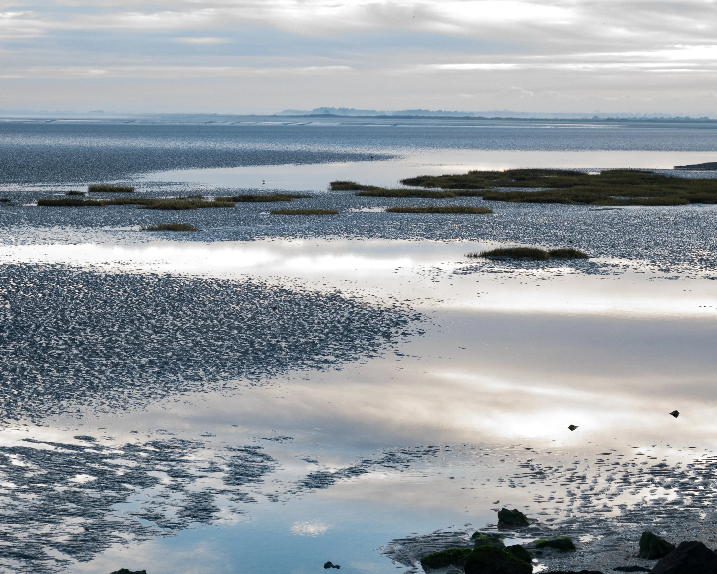 _DSC7290-6.jpg