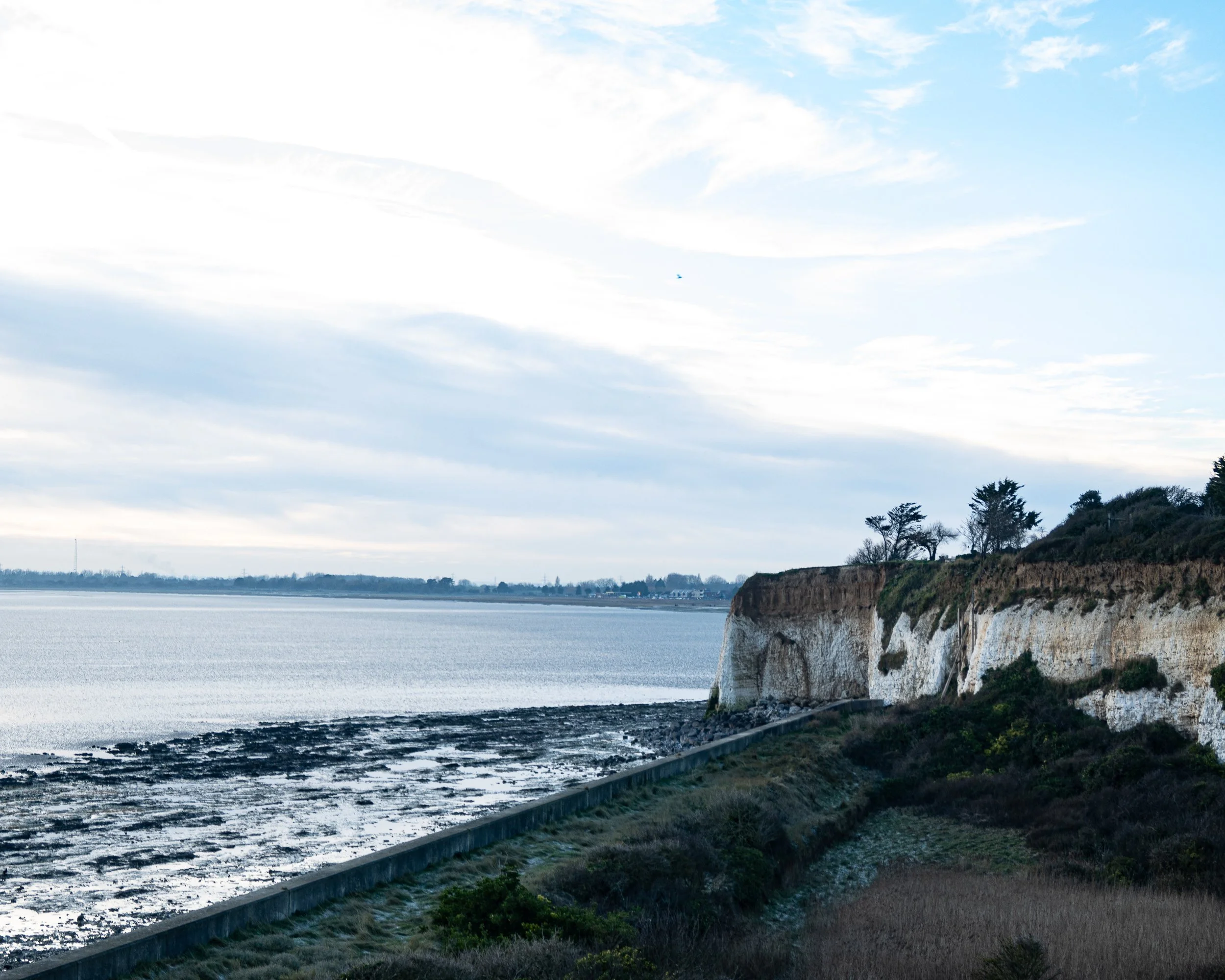 _DSC7210-1.jpg