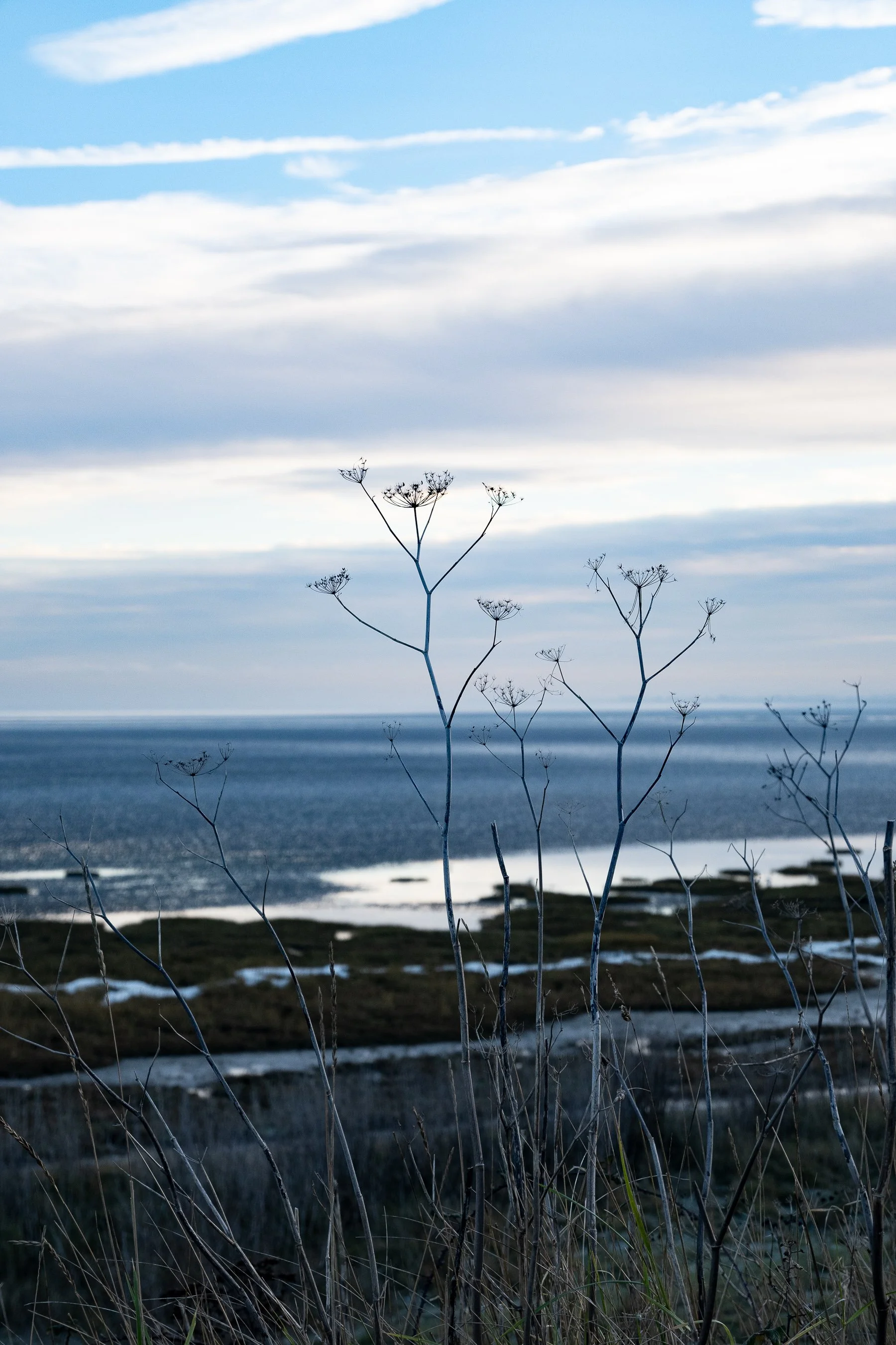 _DSC7262-4.jpg