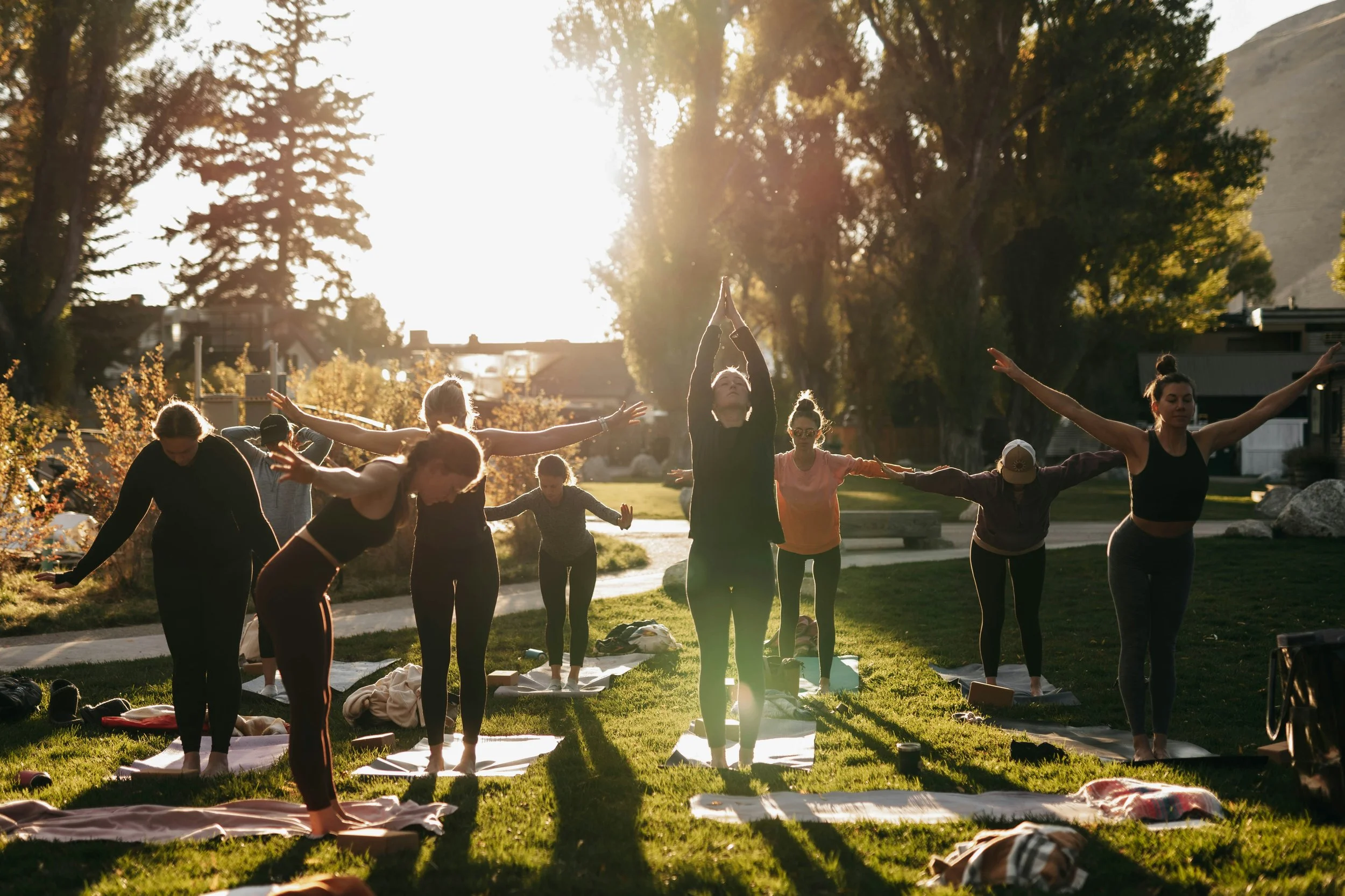 Why Some Habits Stick While Others Fail