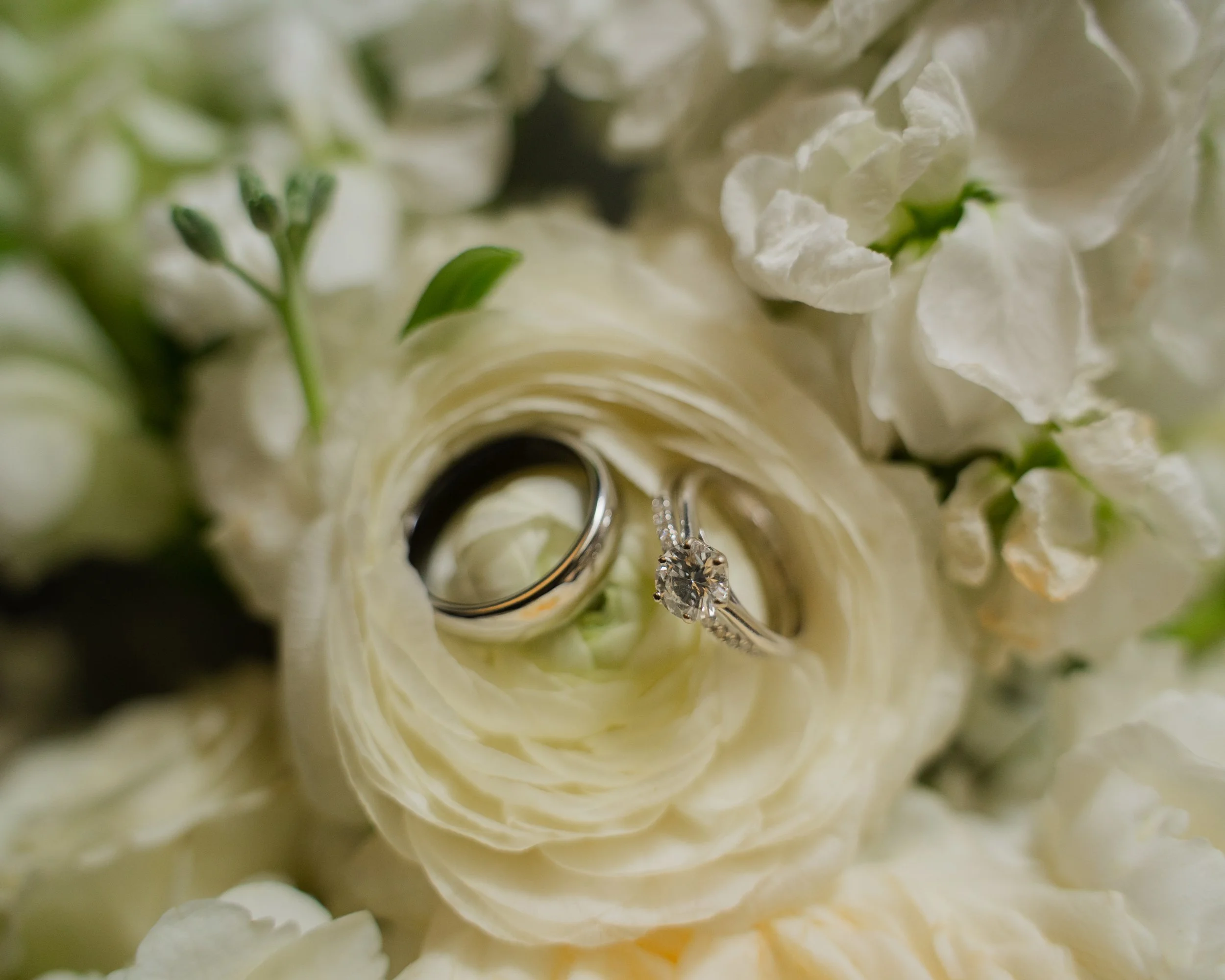 Victoria+Gio-53.jpg