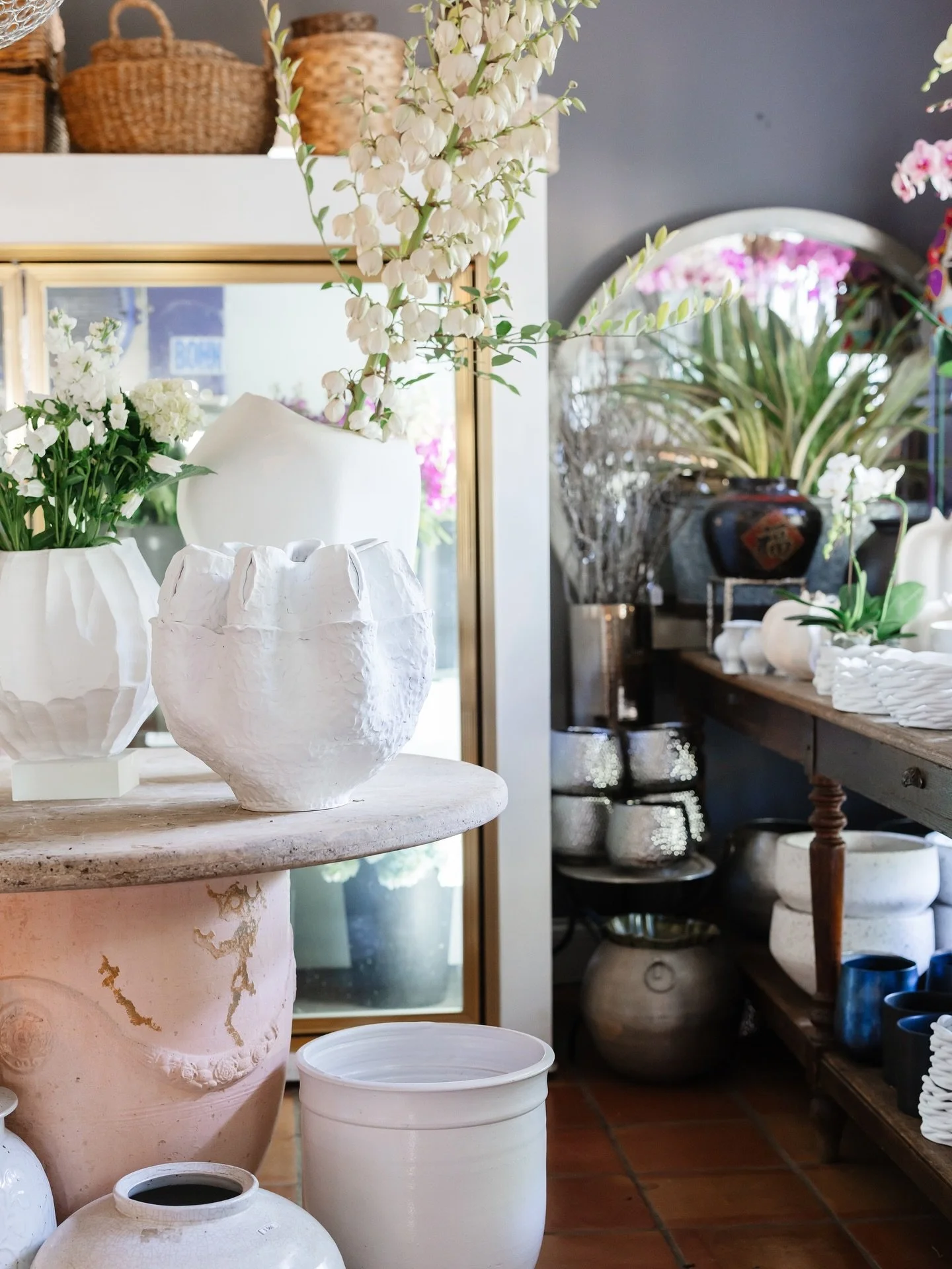 Something new is blooming 🌿 Say hello to our newest client @lushlifehomeandgarden, we are so excited to grow with them!⁠
⁠
📸: @kendalllaurenmedia⁠
⁠
#SHARESocialConcepts #LushLifeHomeAndGarden