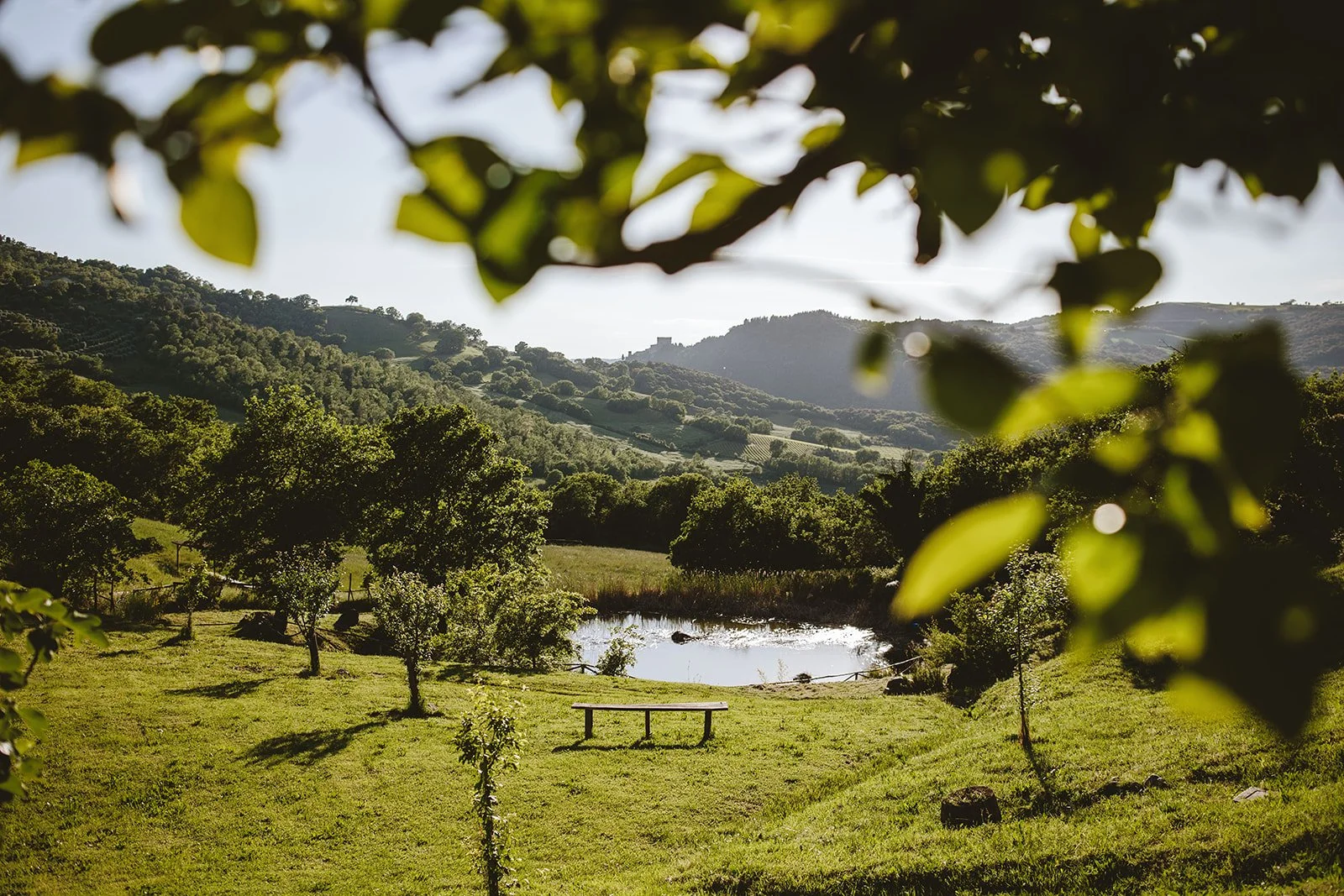 summer wedding Tuscany (66).jpg