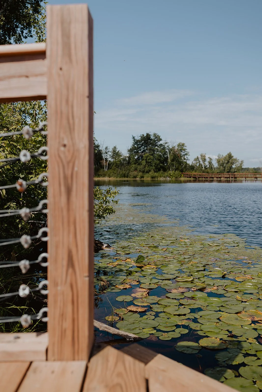 Lily pads on Milford Lake at Milford Mine Memorial Park in Crosby, MN