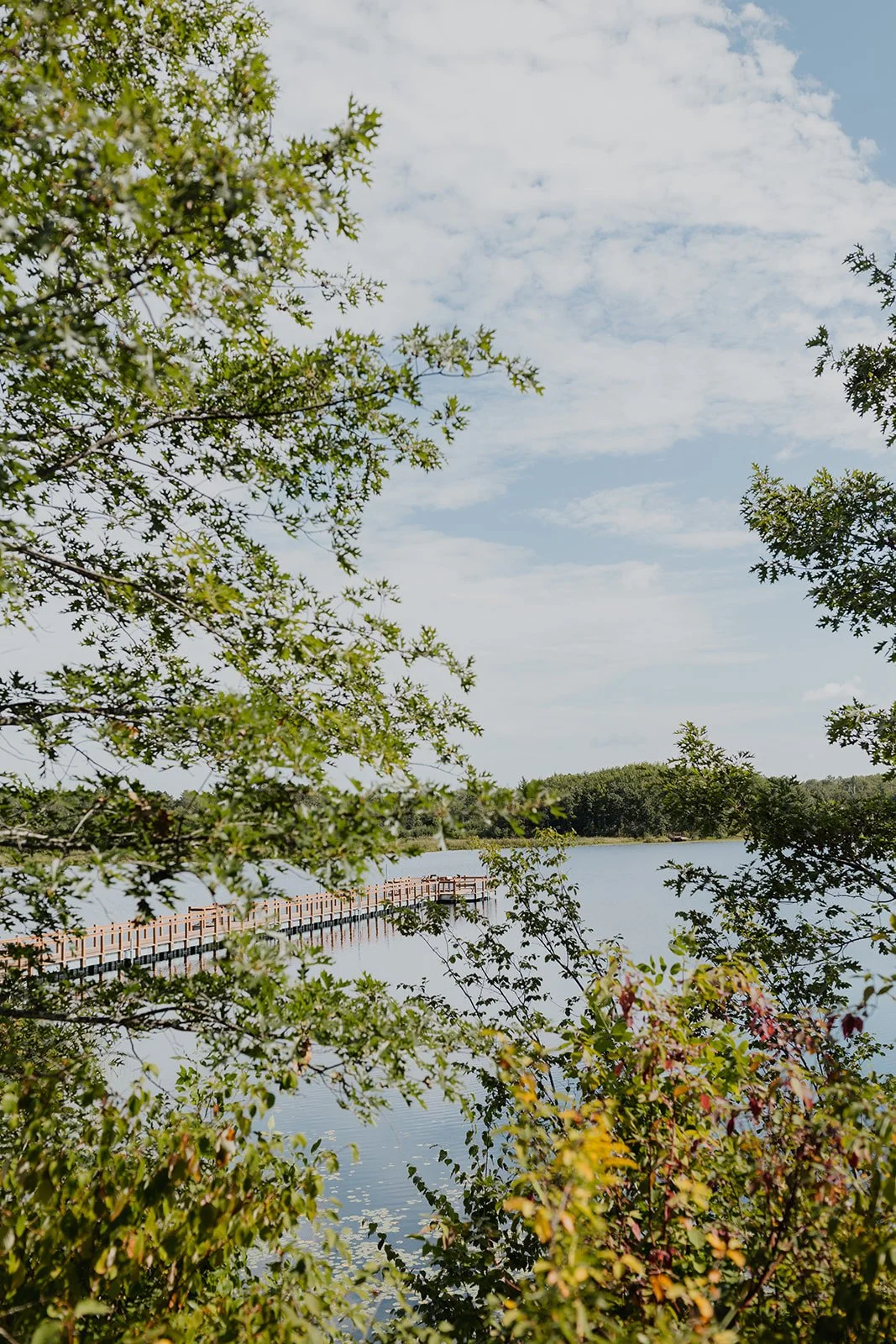 Boardwalk and lake seen through trees and flowers in Crosby, MN
