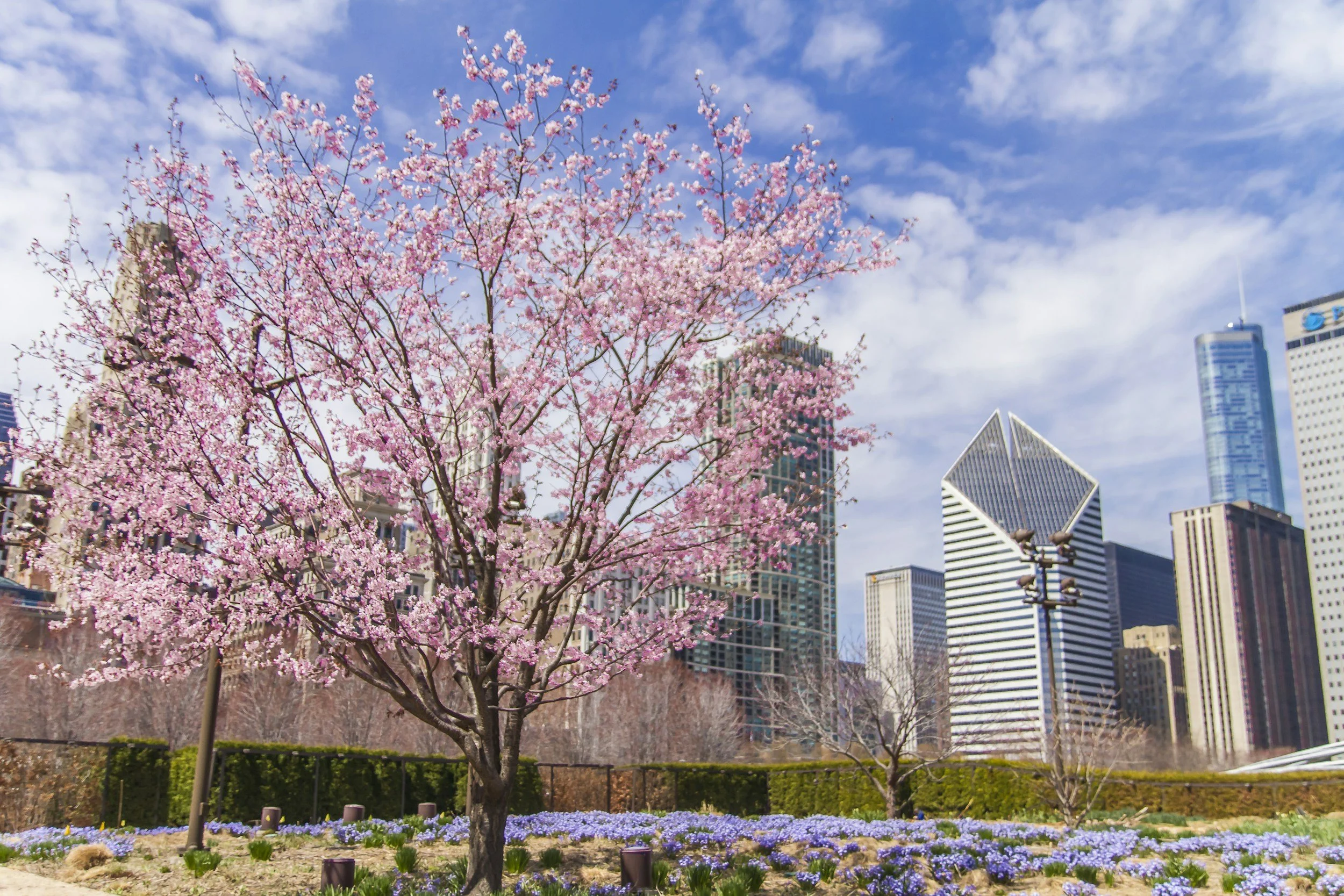 April in Chicago: Events, Lifestyle Trends, and What’s Drawing Buyers Back to the City