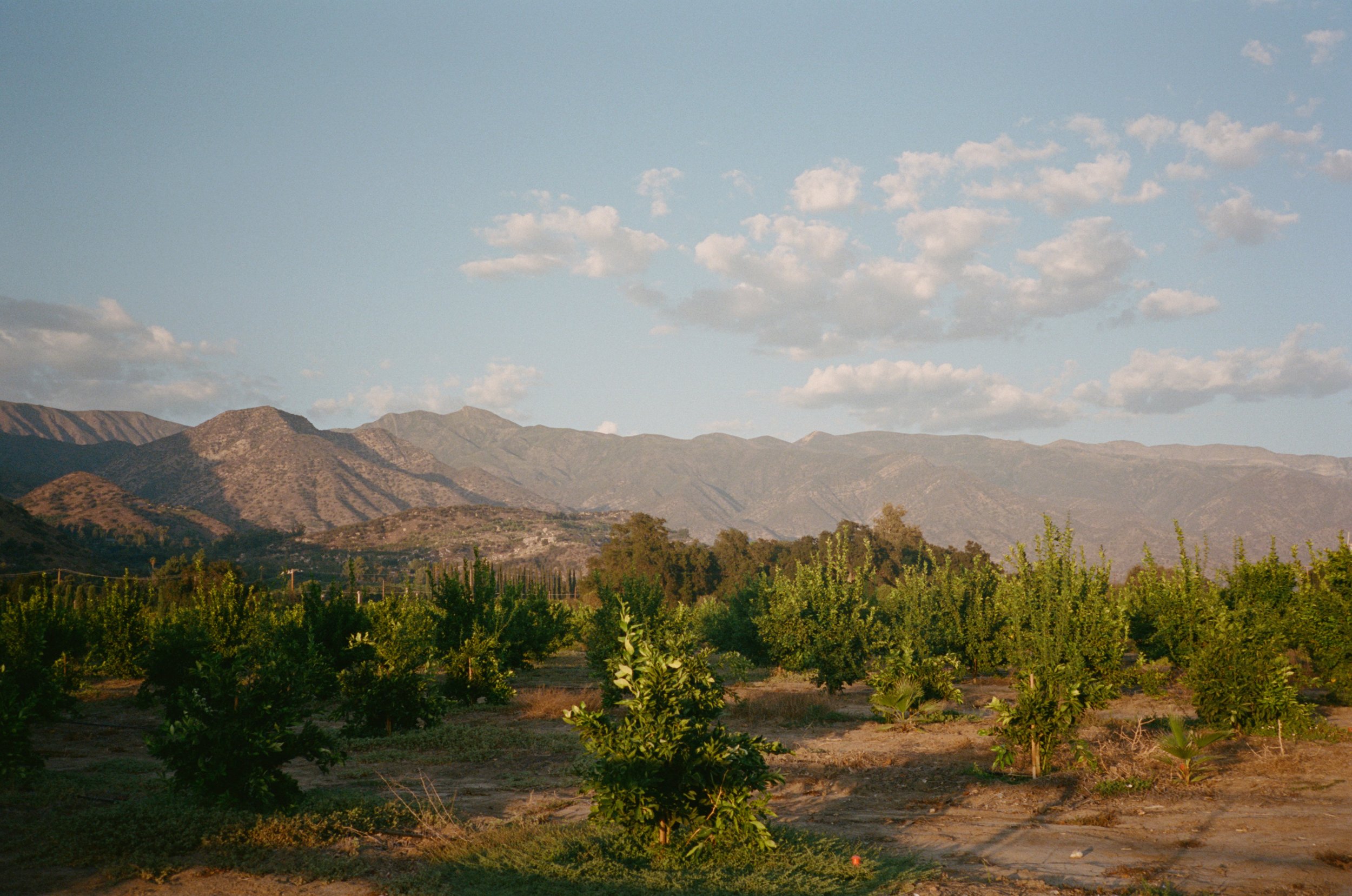 ojai