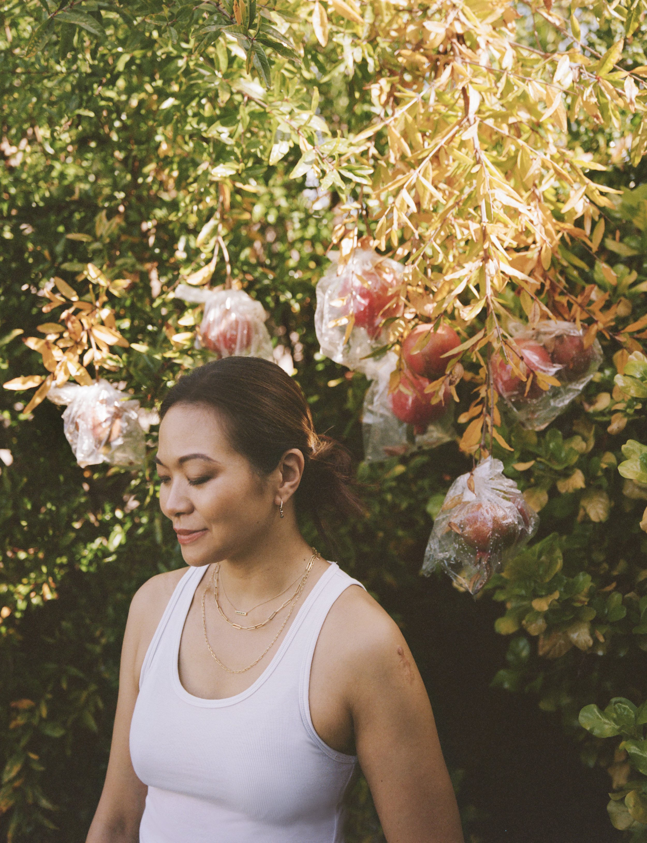 the laterals - adele lim