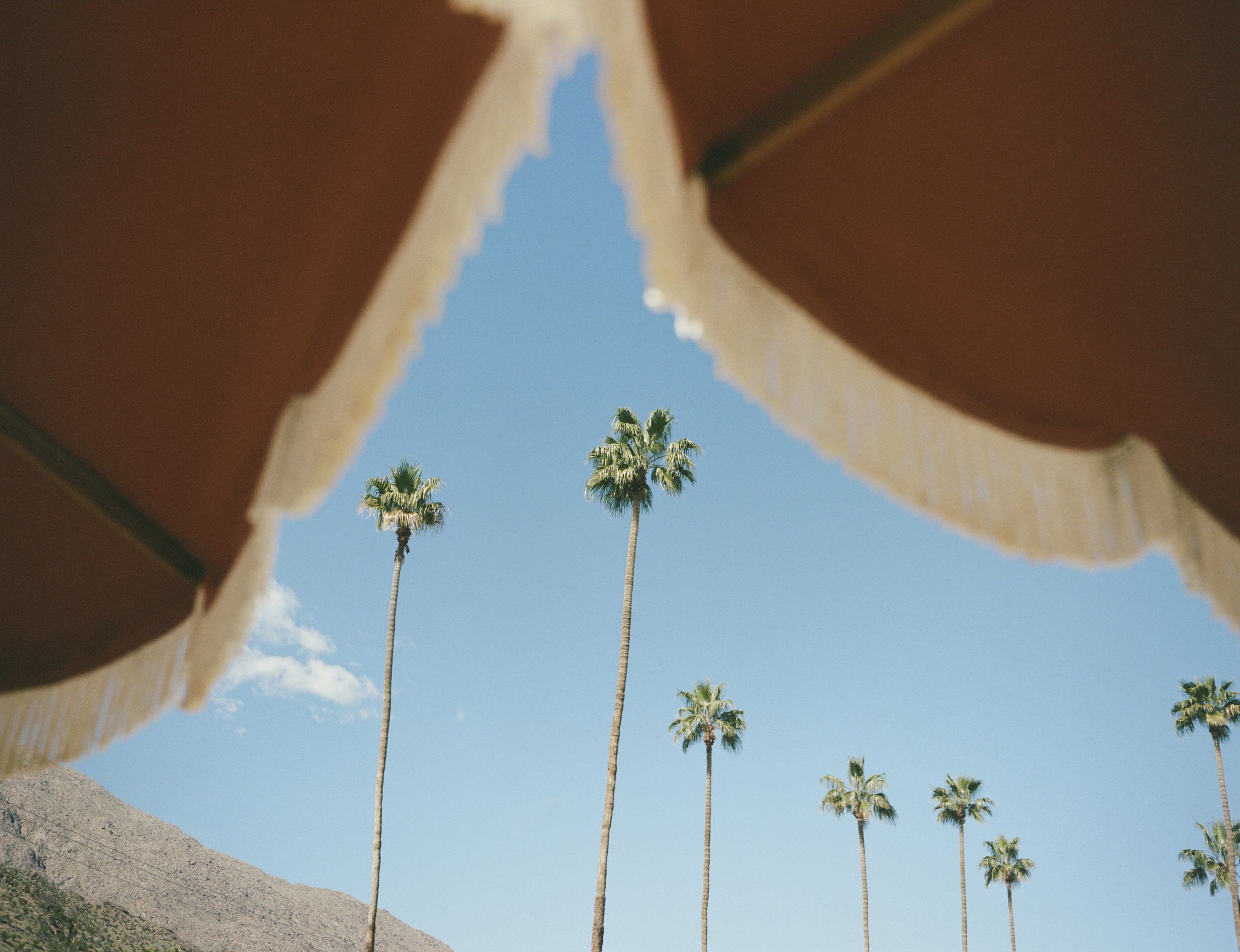 lifehouse hotel palm springs