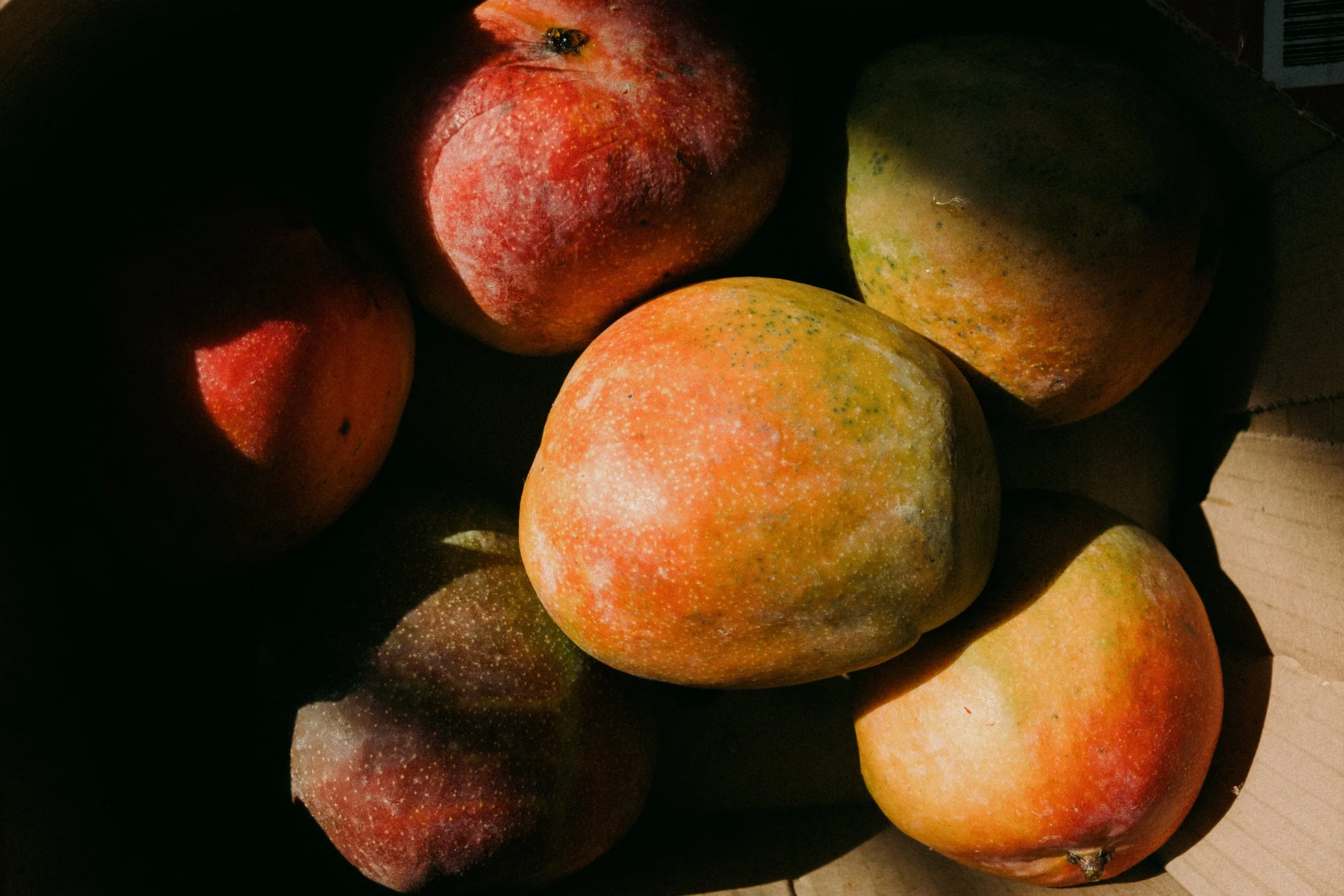 250825_MANGOES_5.jpg