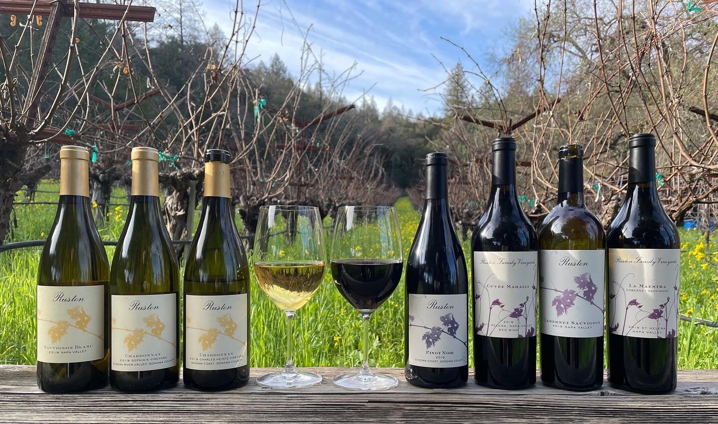 Our current releases! Visit our website for more info 🍷🍇

[tags]

#napavalley #napa #winecountry #sthelena #rustonfamilyvineyards #wine #winelover