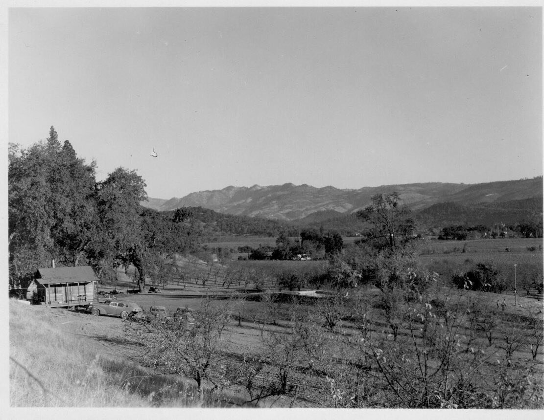 The Ruston Ranch back when it was a prune orchard in 1942 🌳 #throwbackthursday