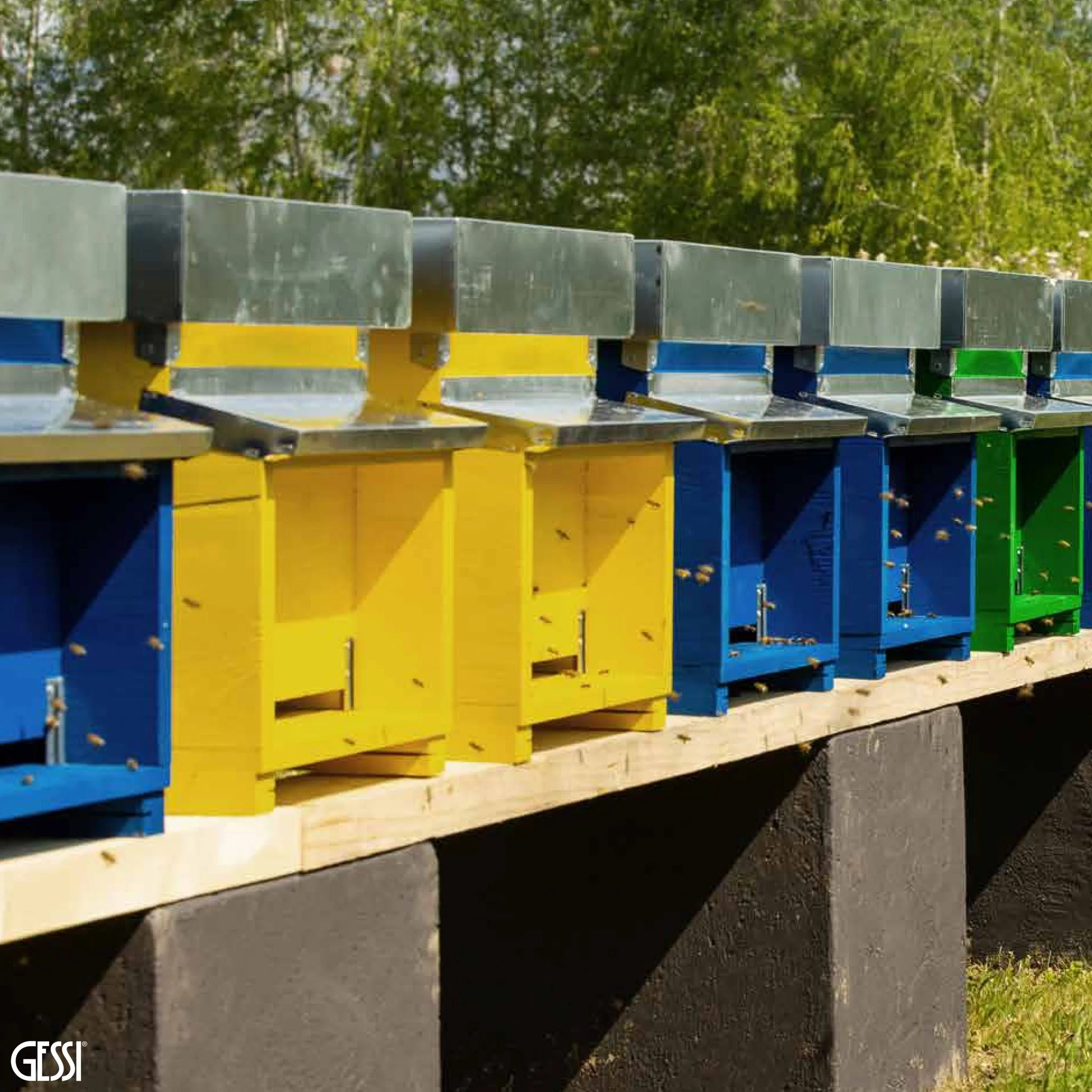 Parco Gessi beehives.jpg