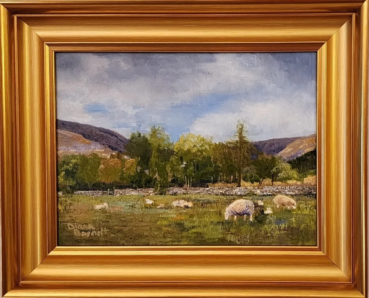 Sheep in the Isle of Skye 16x20 oil on linen 