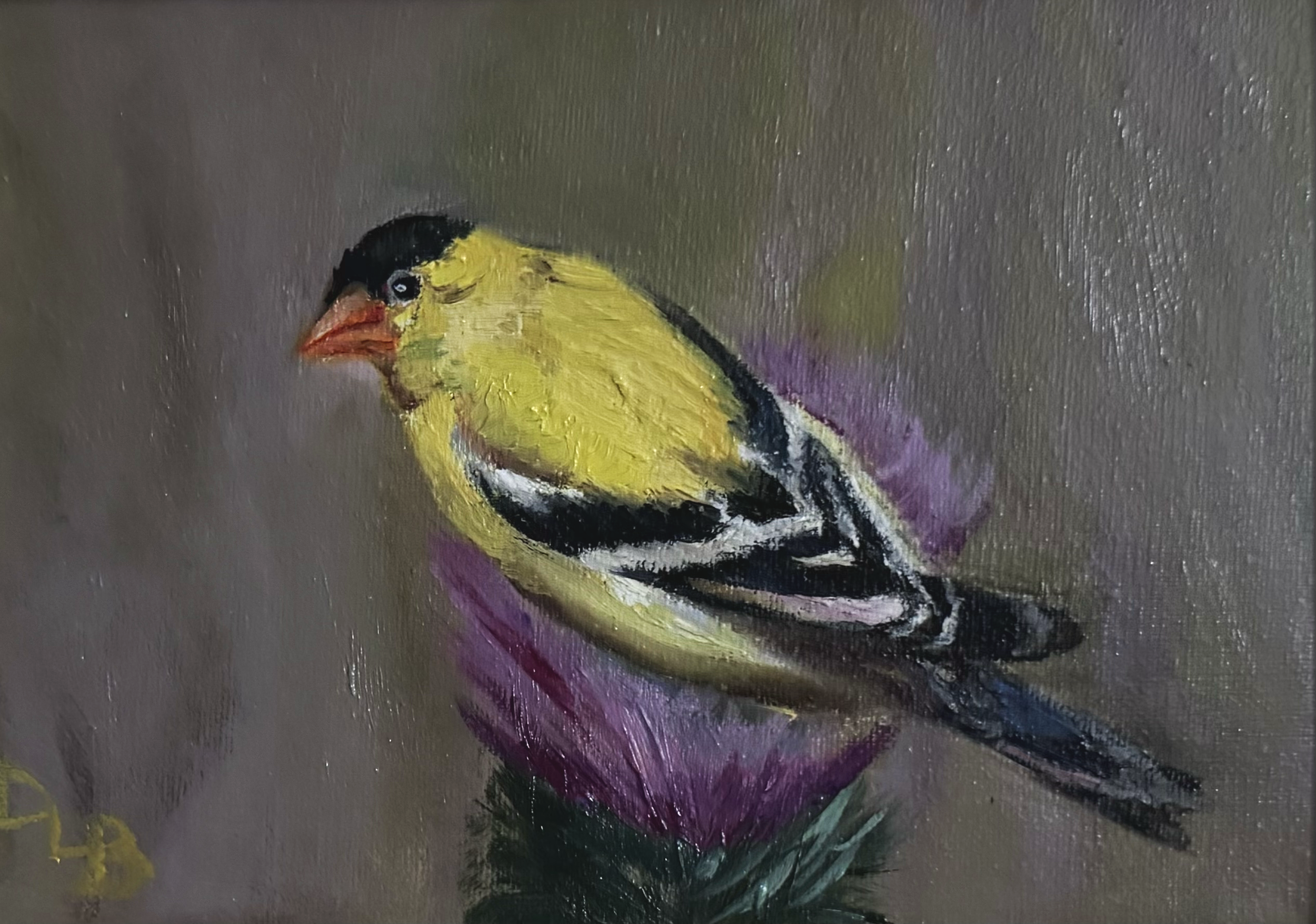 Yellow Finch
5x7 oil on linen
Sold 