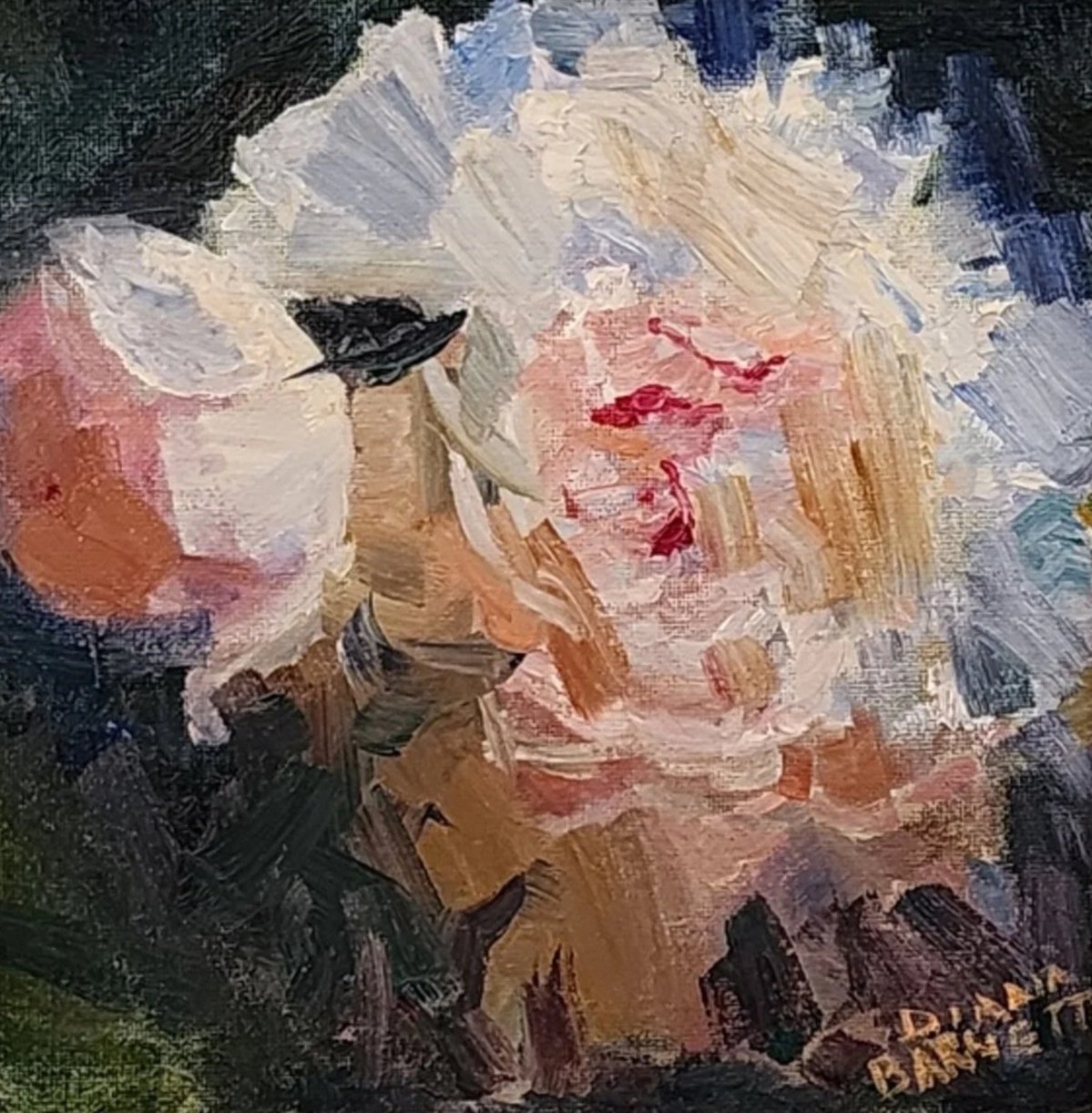 Peony
8x8 oil on cotton
SOLD