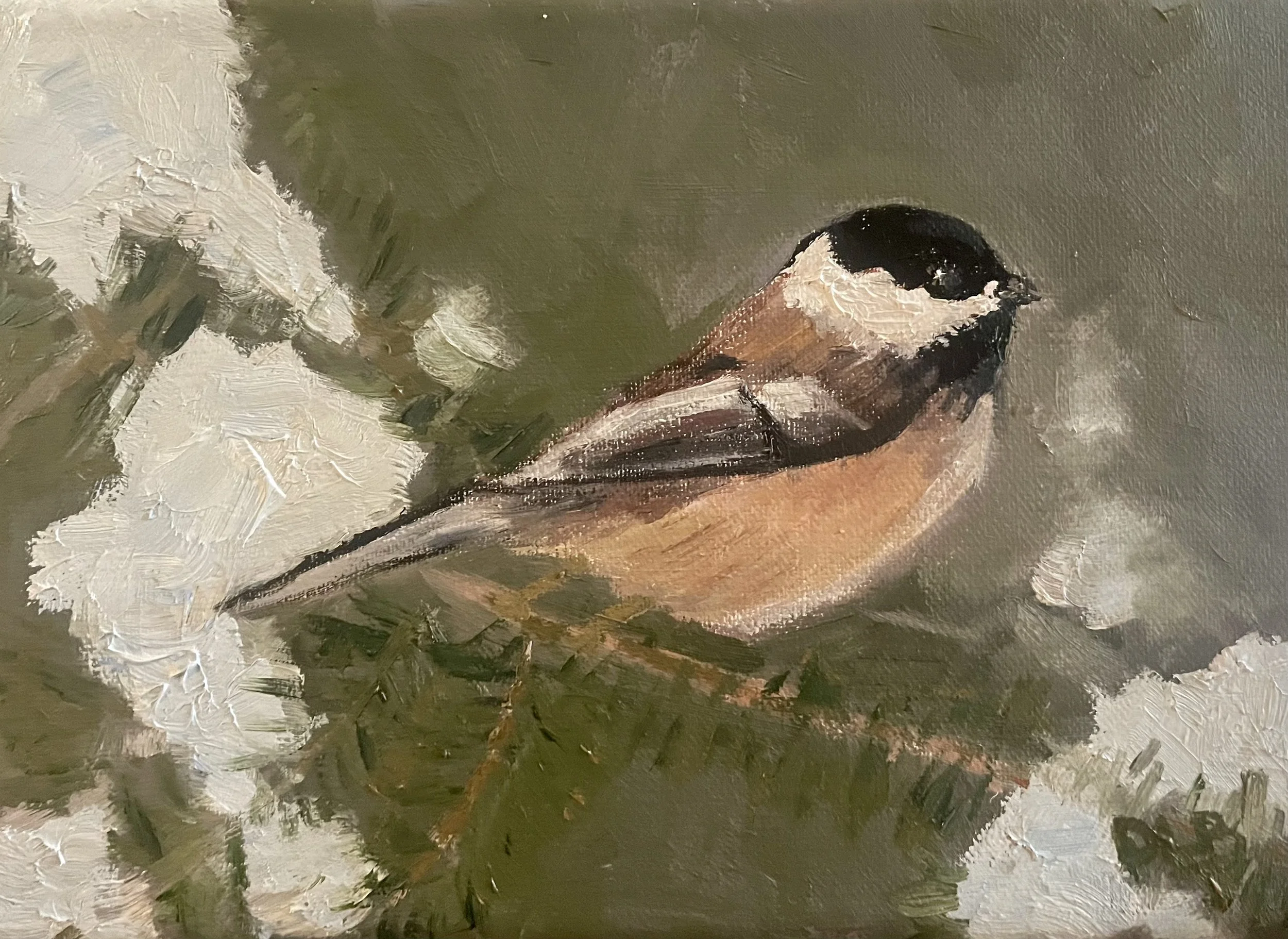 Winter Songbird
5x7 oil on linen
$90
