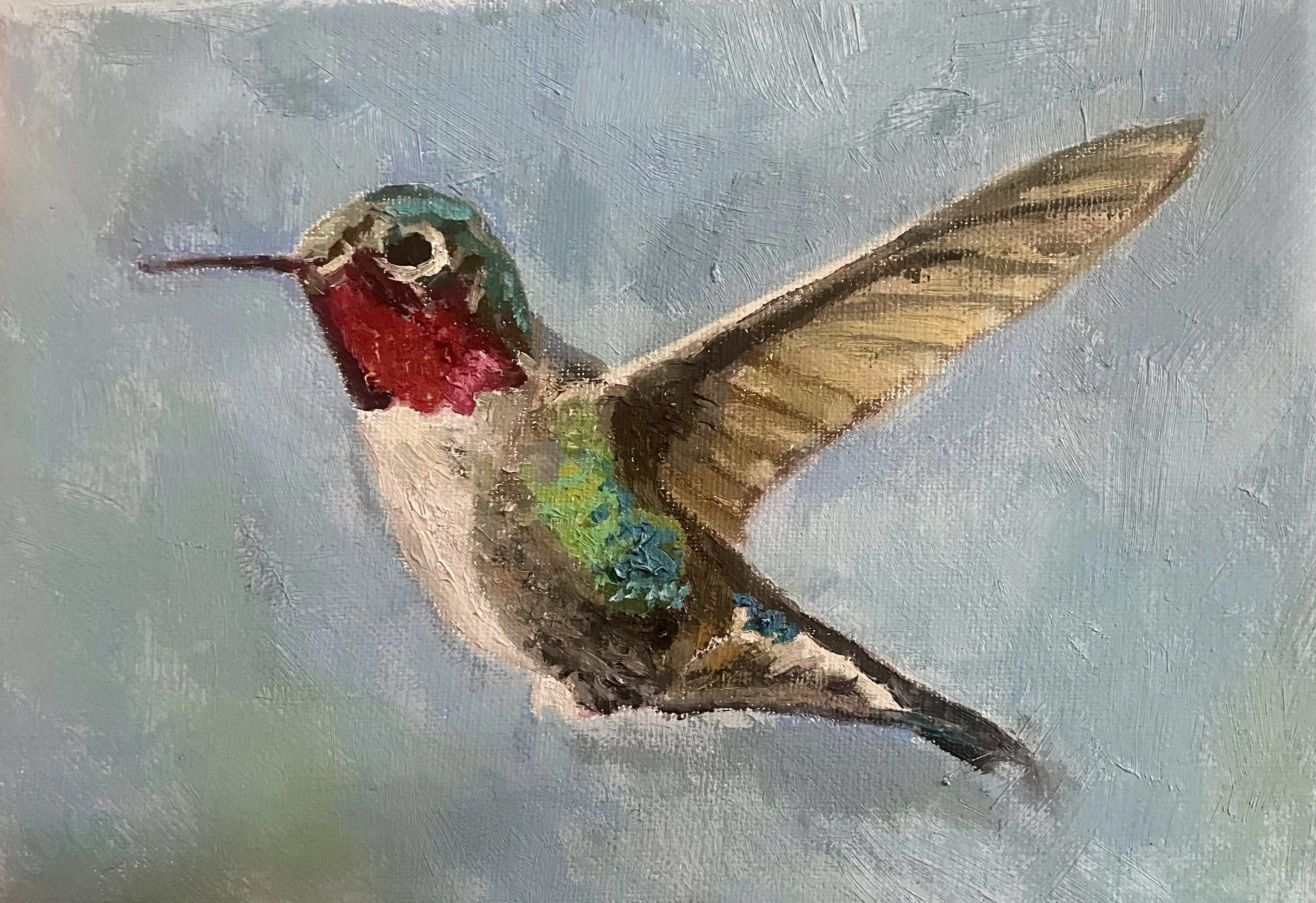 Flying High 
5x7 oil on linen
SOLD