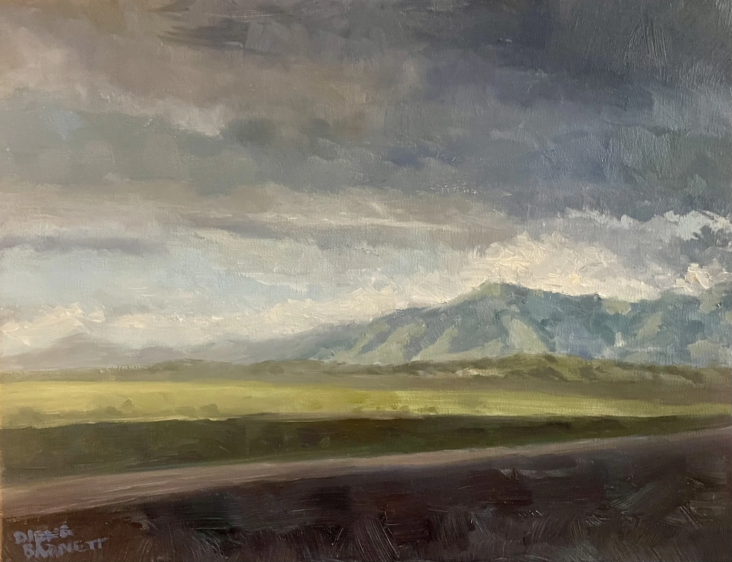 Storm Approaching I-15 in central Utah          
11x14 oil on canvas 
SOLD