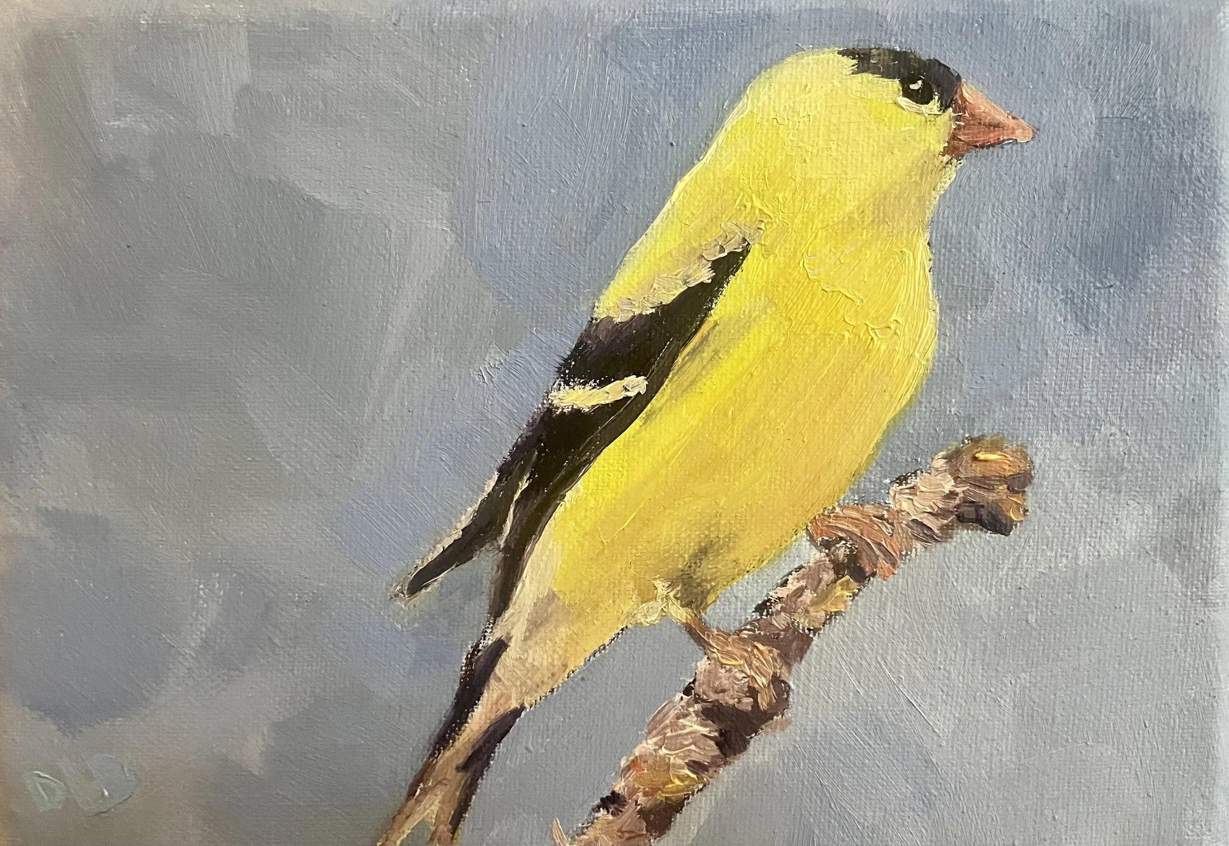 Sunshine Bird 
5x7 oil on linen
$90