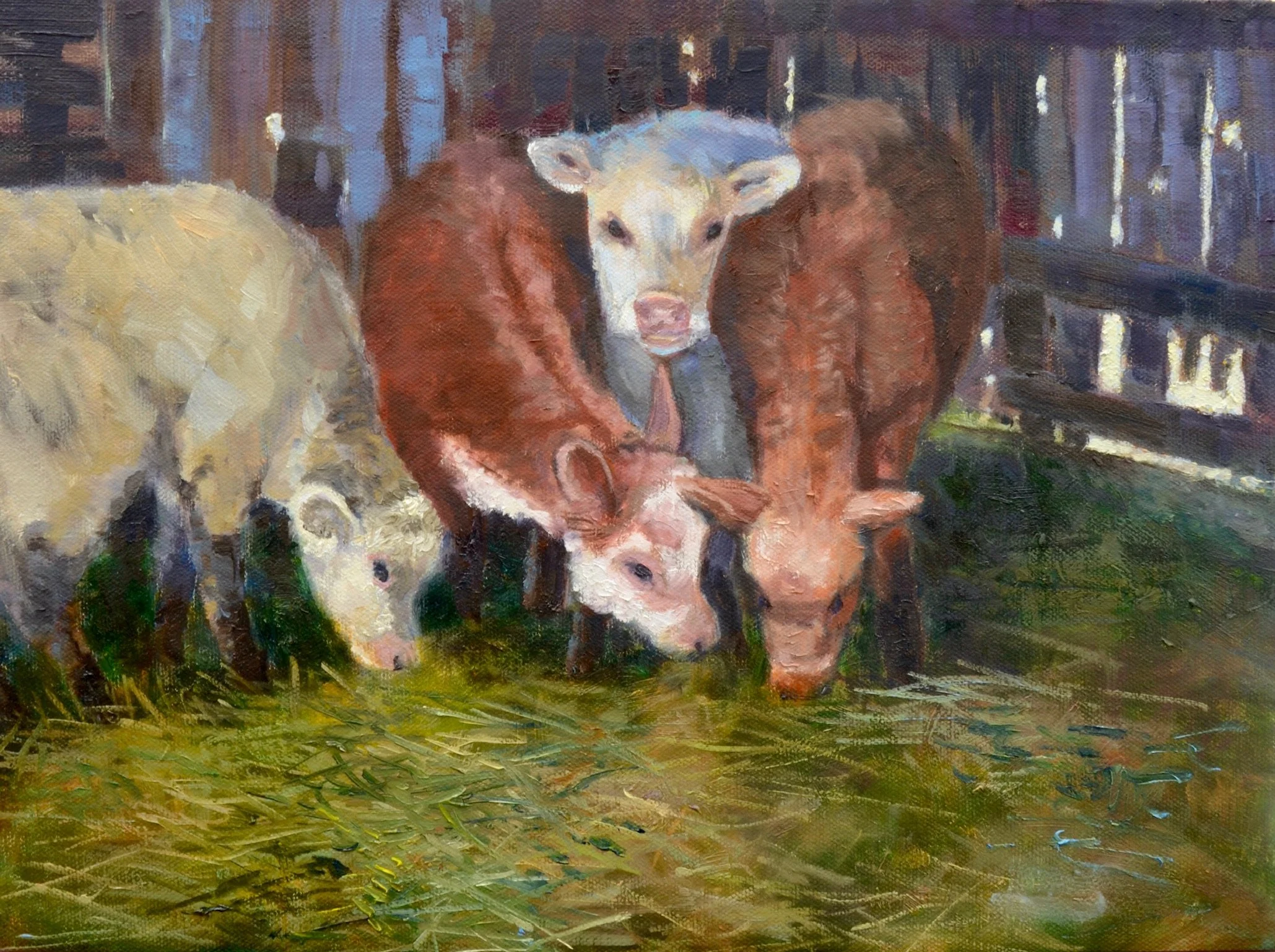 The Cows at the family farm 16x18 oil on canvas 