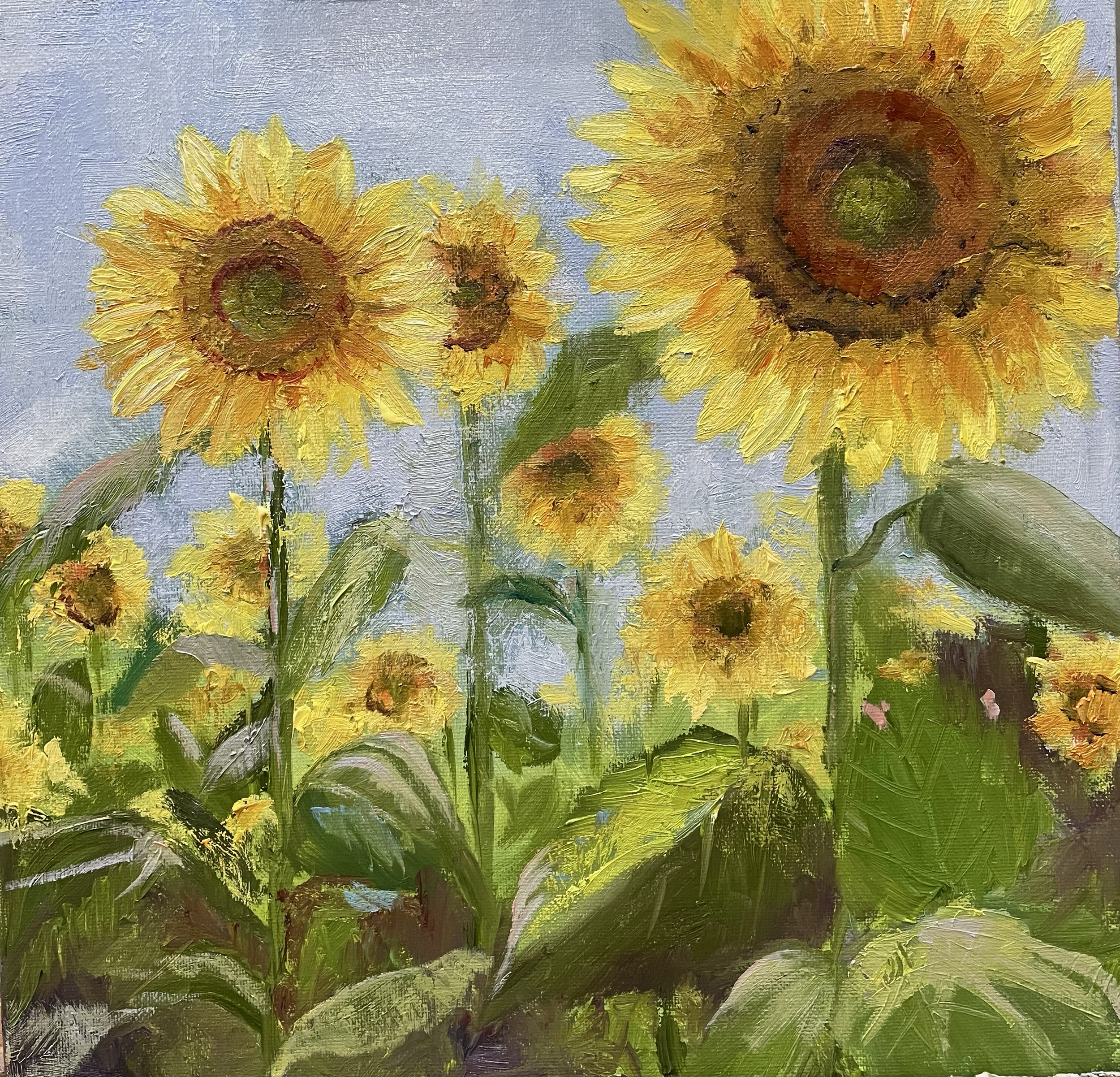 Sunflowers
1 2x12 oil on linen 
Not for sale