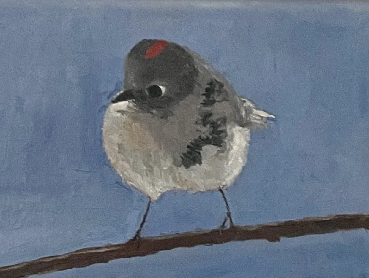 Curious
5x7 oil on linen
SOLD