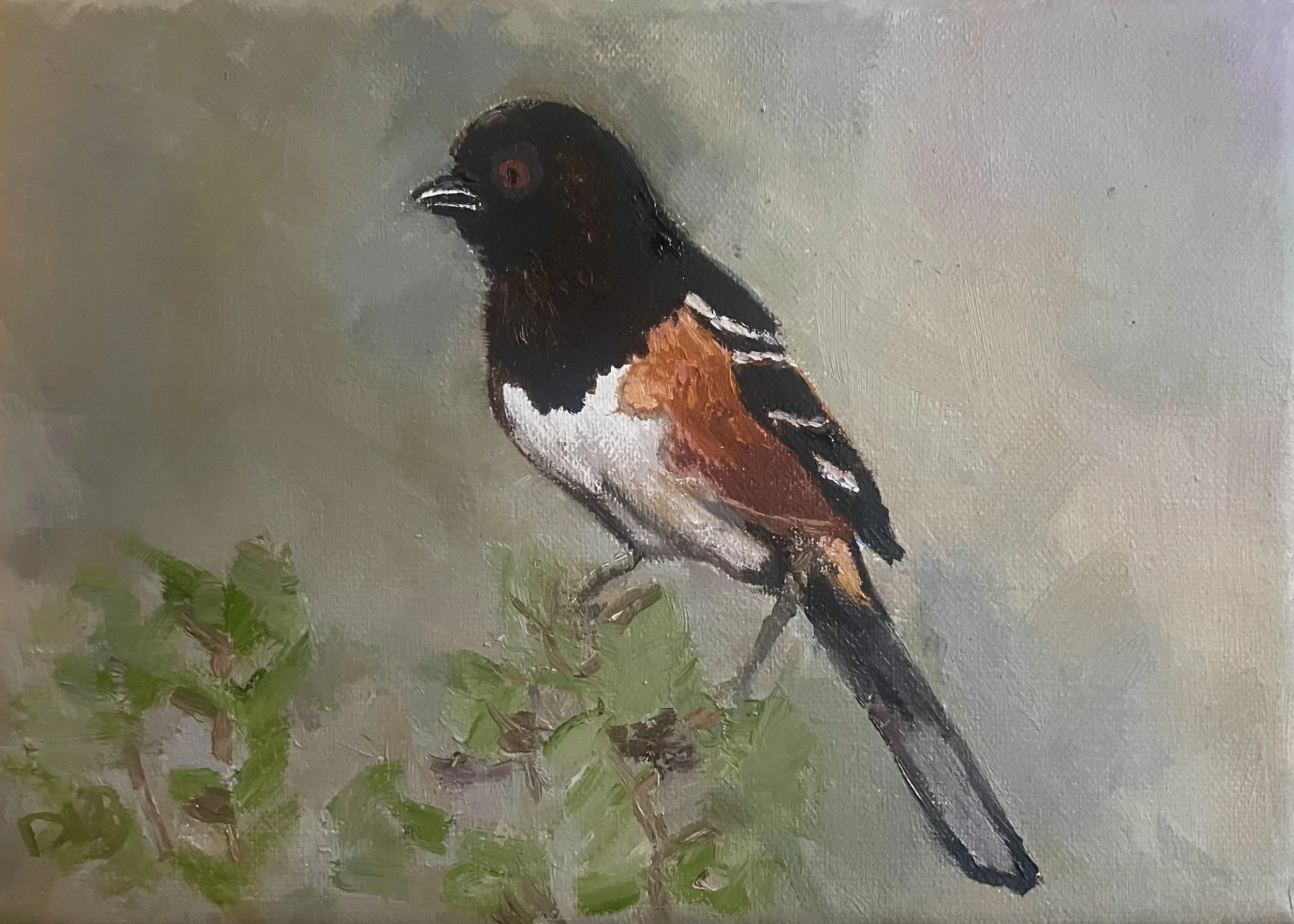 Morning Wait 
5x7 oil on linen
SOLD