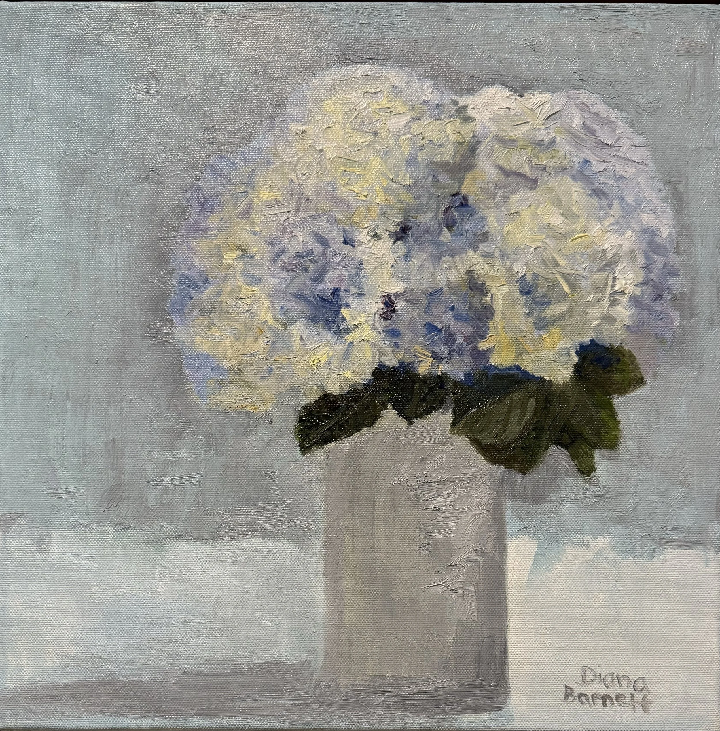 White and Blue Hydrangeas 12x12 oil on canvas $360
