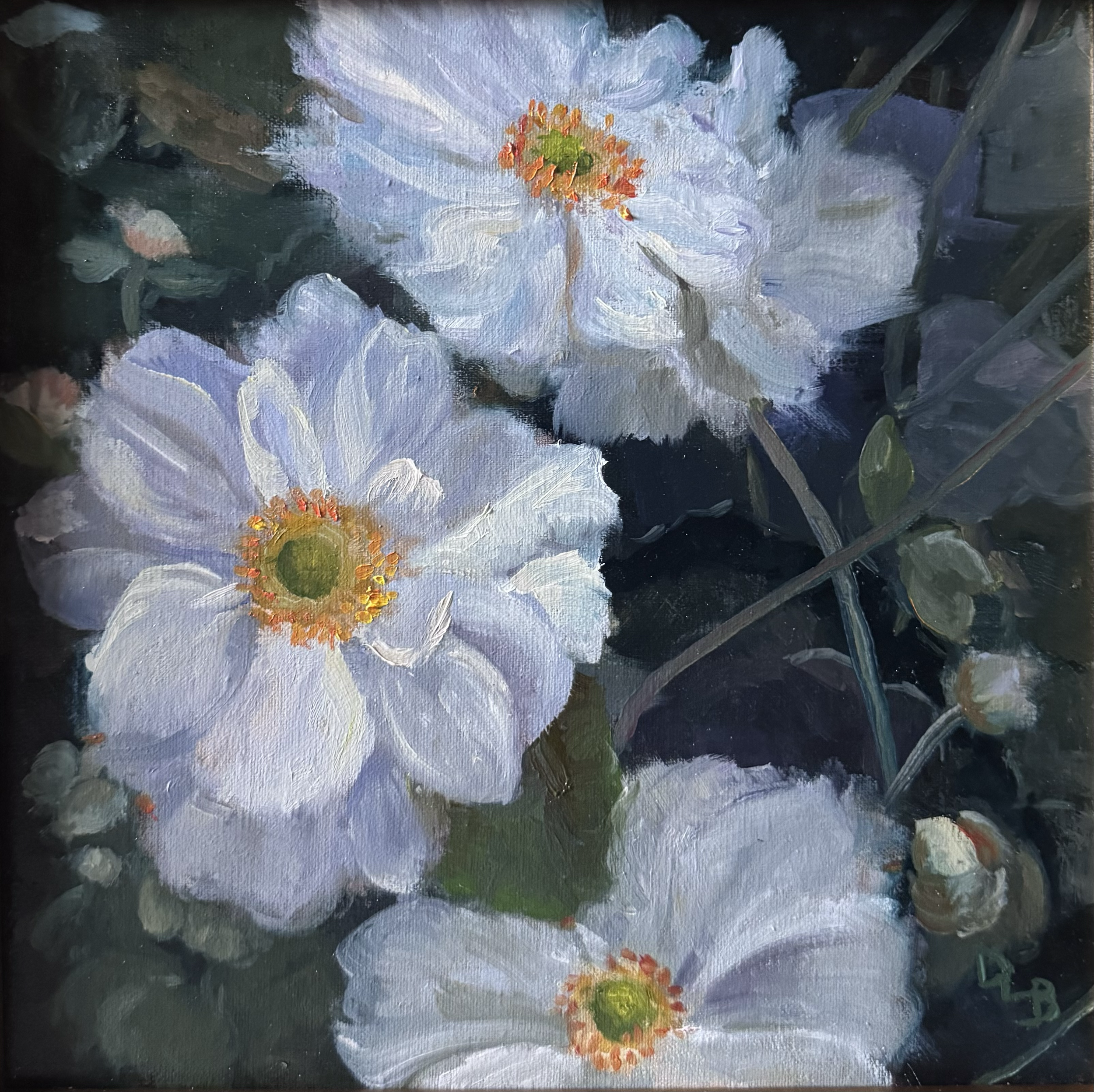 White Anemones 
10 x 10 oil on linen 
SOLD