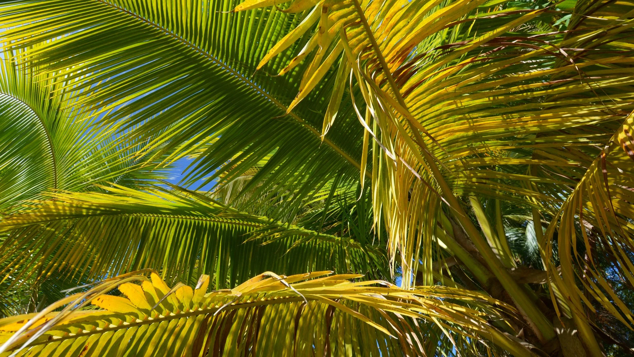 DSC_1679.jpg