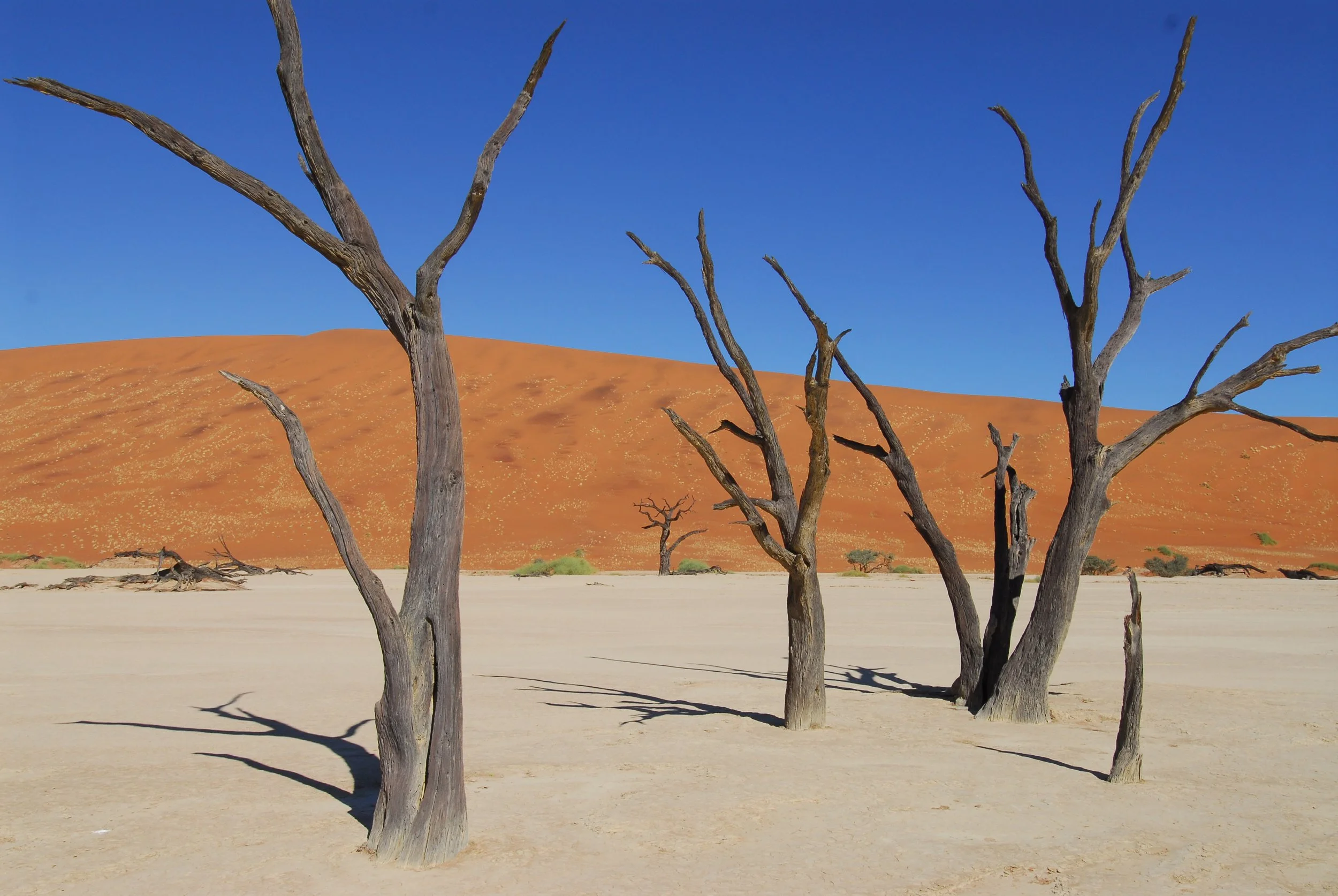 Namibia 2012, Sossusvlei