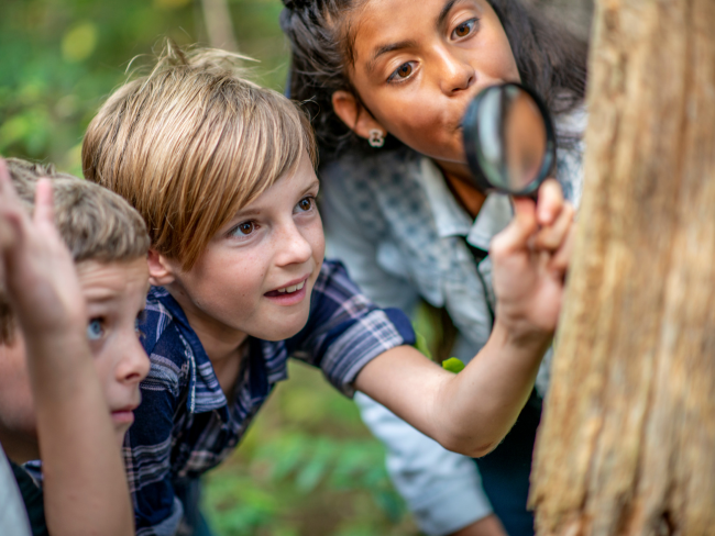 LIGTC Autumn Family BBQ & HIKES - Non-member Child Ticket