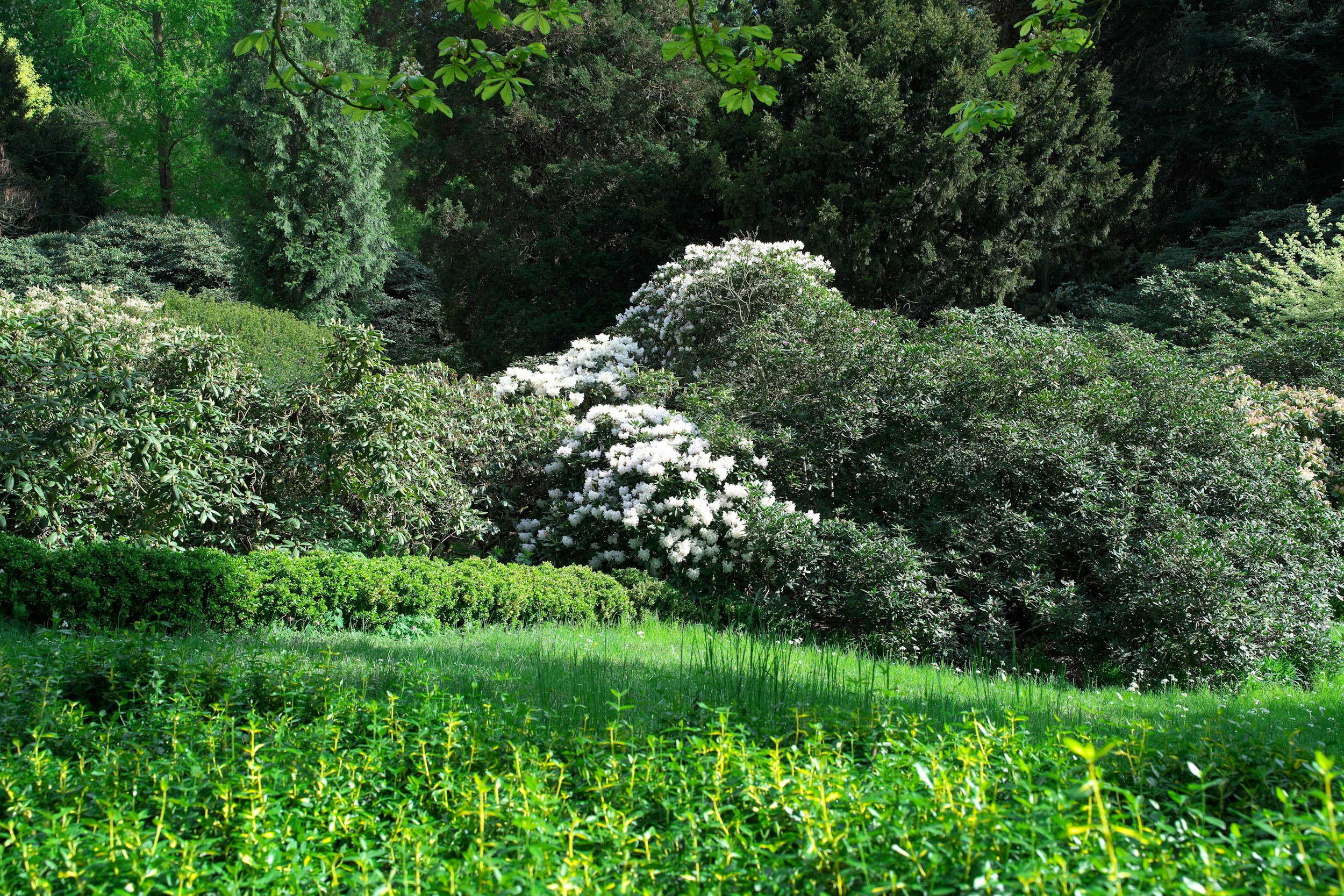 BAYARD CUTTING ARBORETUM