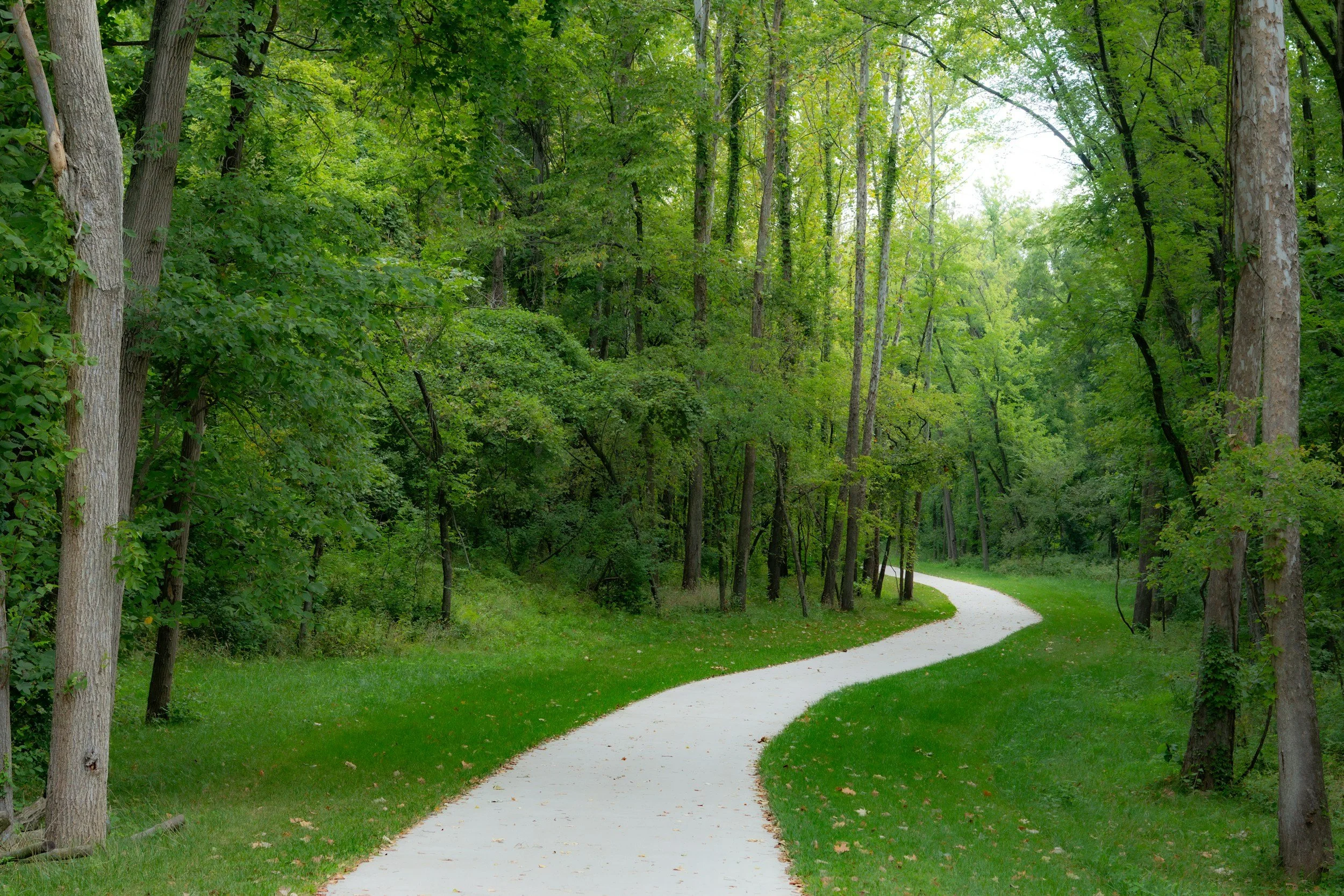 SANS SOUCI COUNTY PARK: