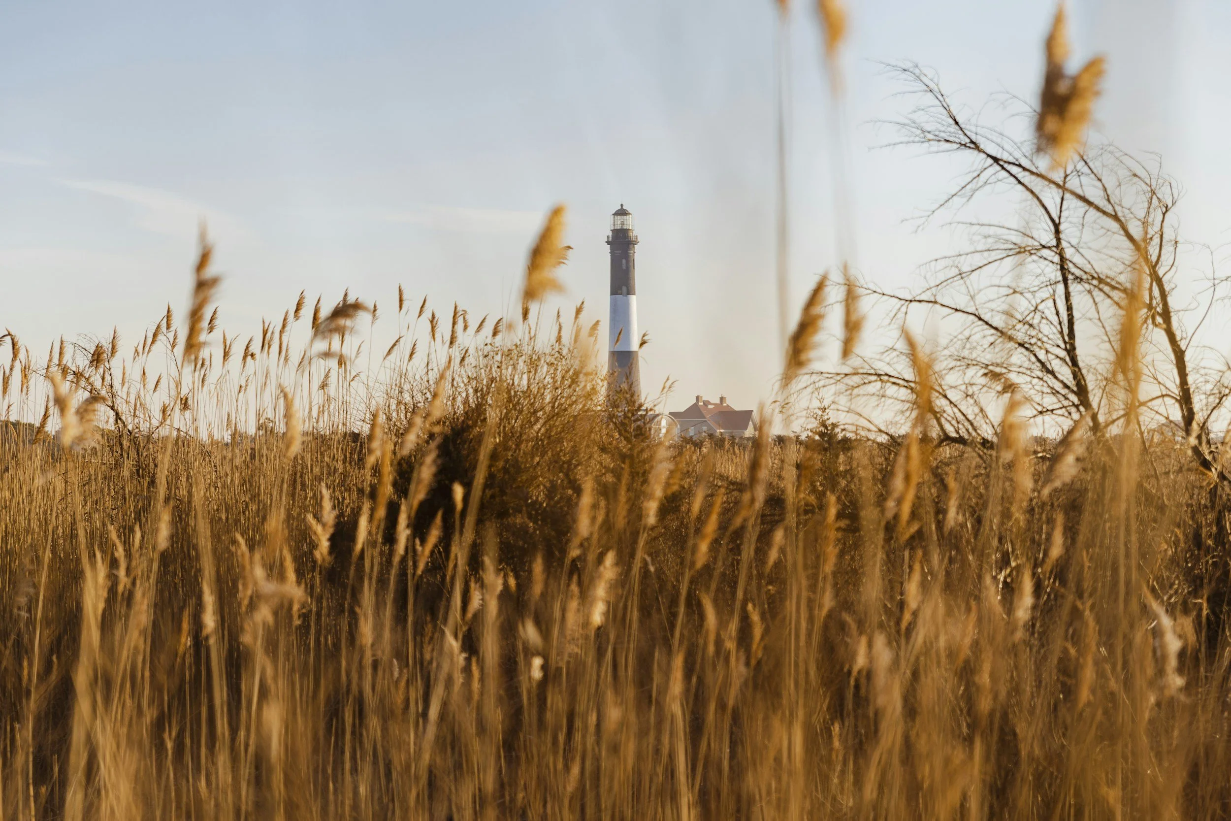 FIRE ISLAND NATIONAL SEASHORE-F.I.N.S