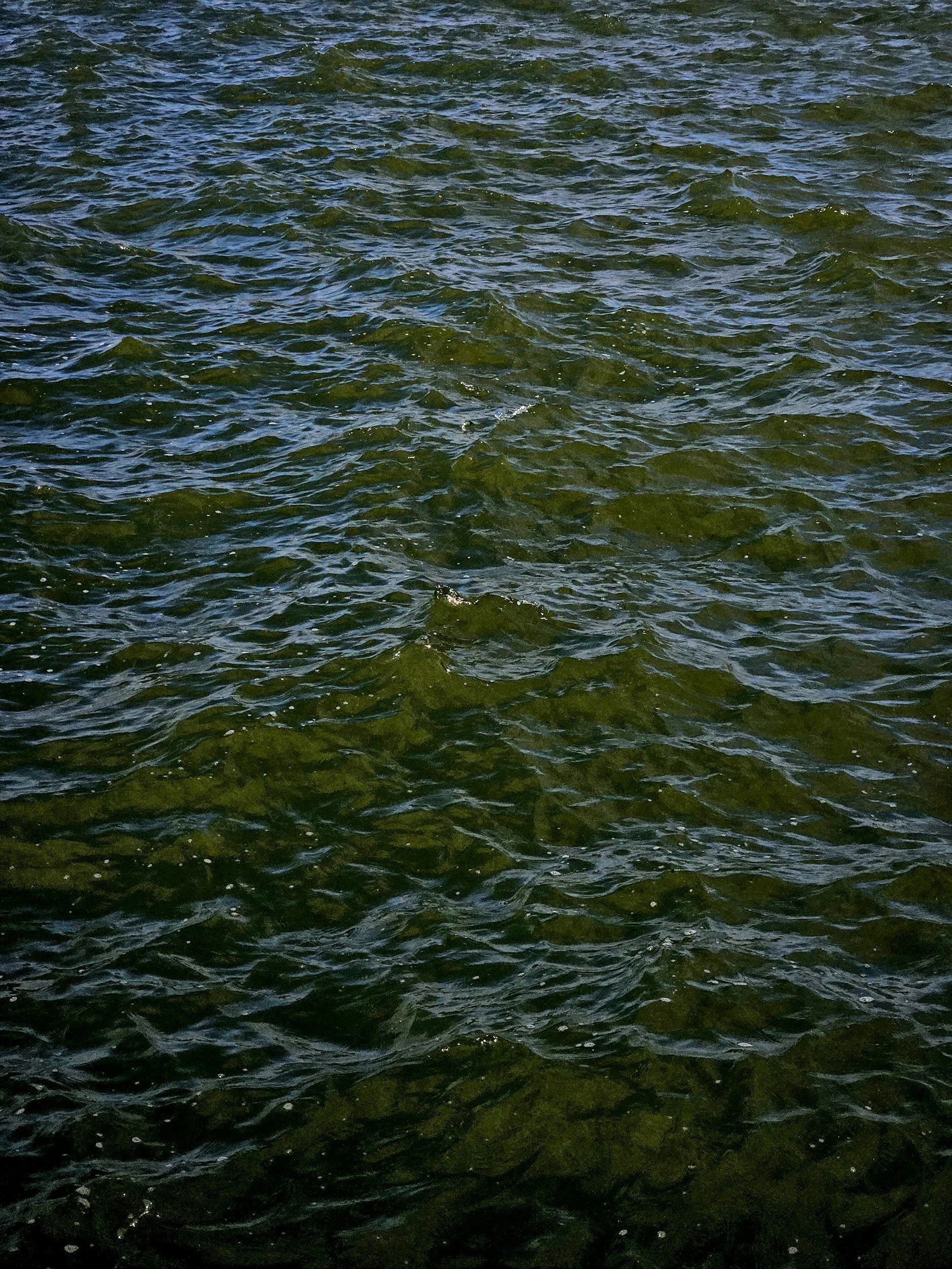 NISSEQUOGUE RIVER TO SUNKEN MEADOW