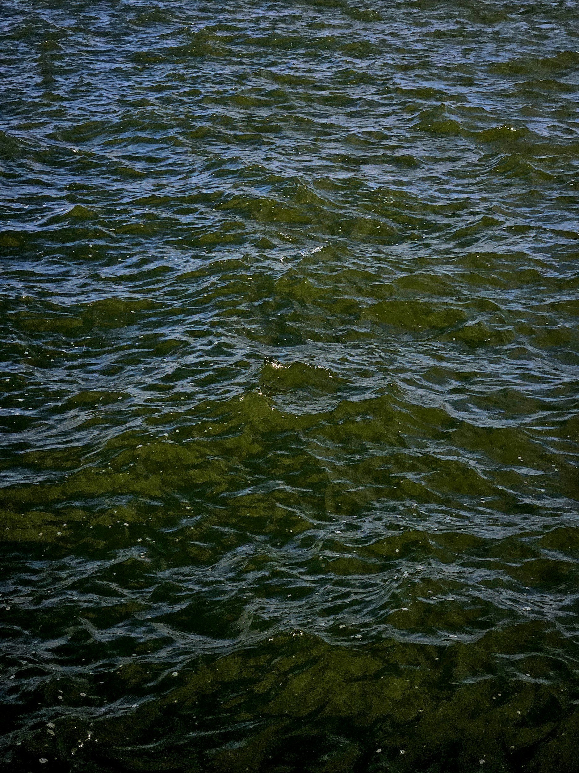 NISSEQUOGUE RIVER TO SUNKEN MEADOW