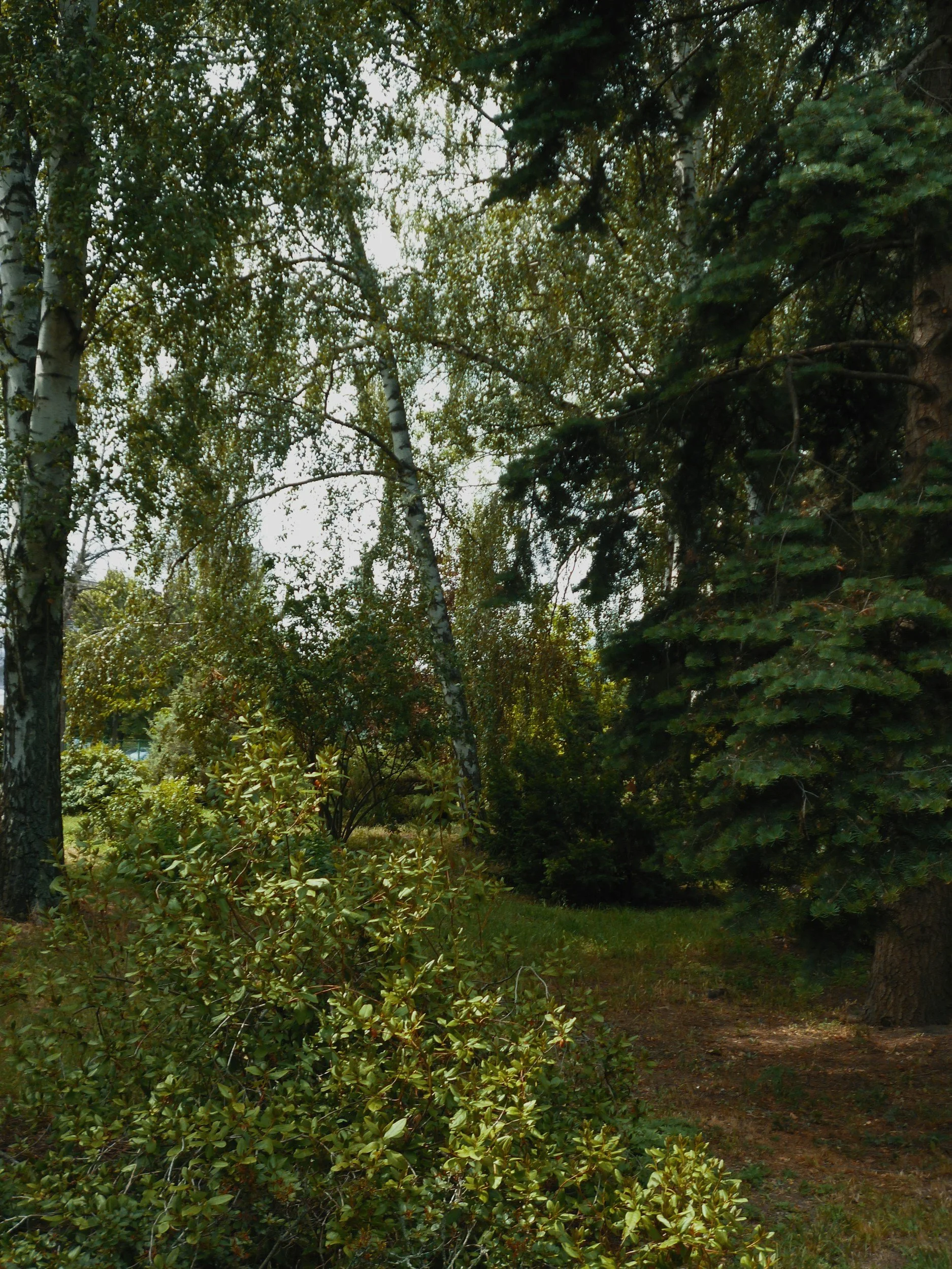 BAYARD CUTTING ARBORETUM