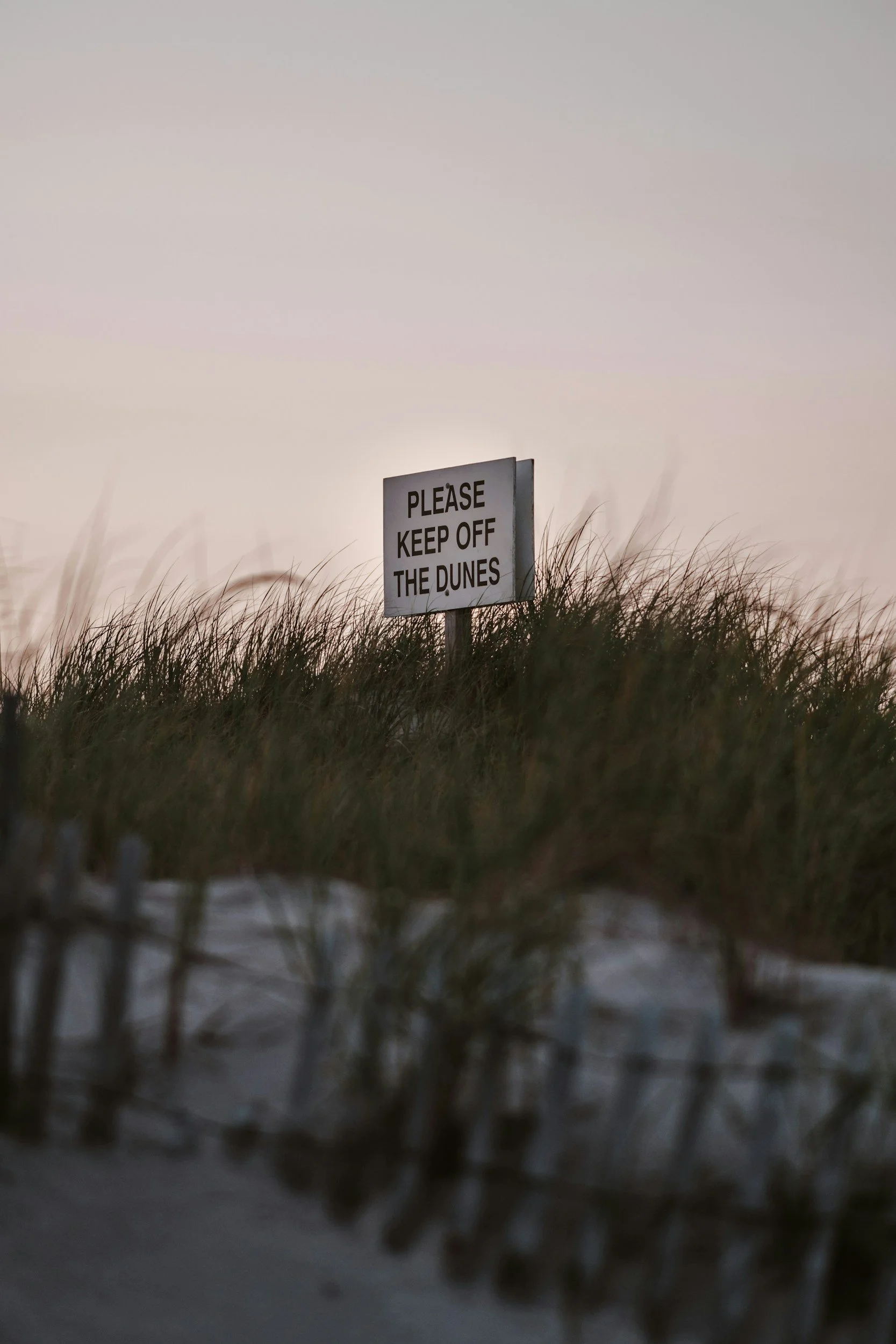 FIRE ISLAND NATIONAL SEASHORE-F.I.N.S