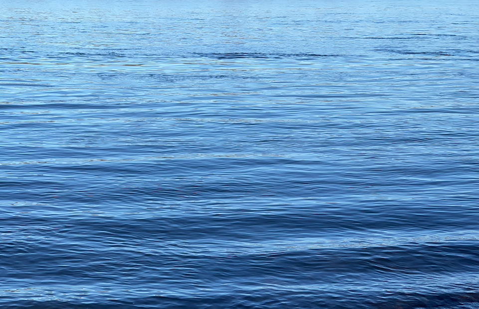 The Water Cure