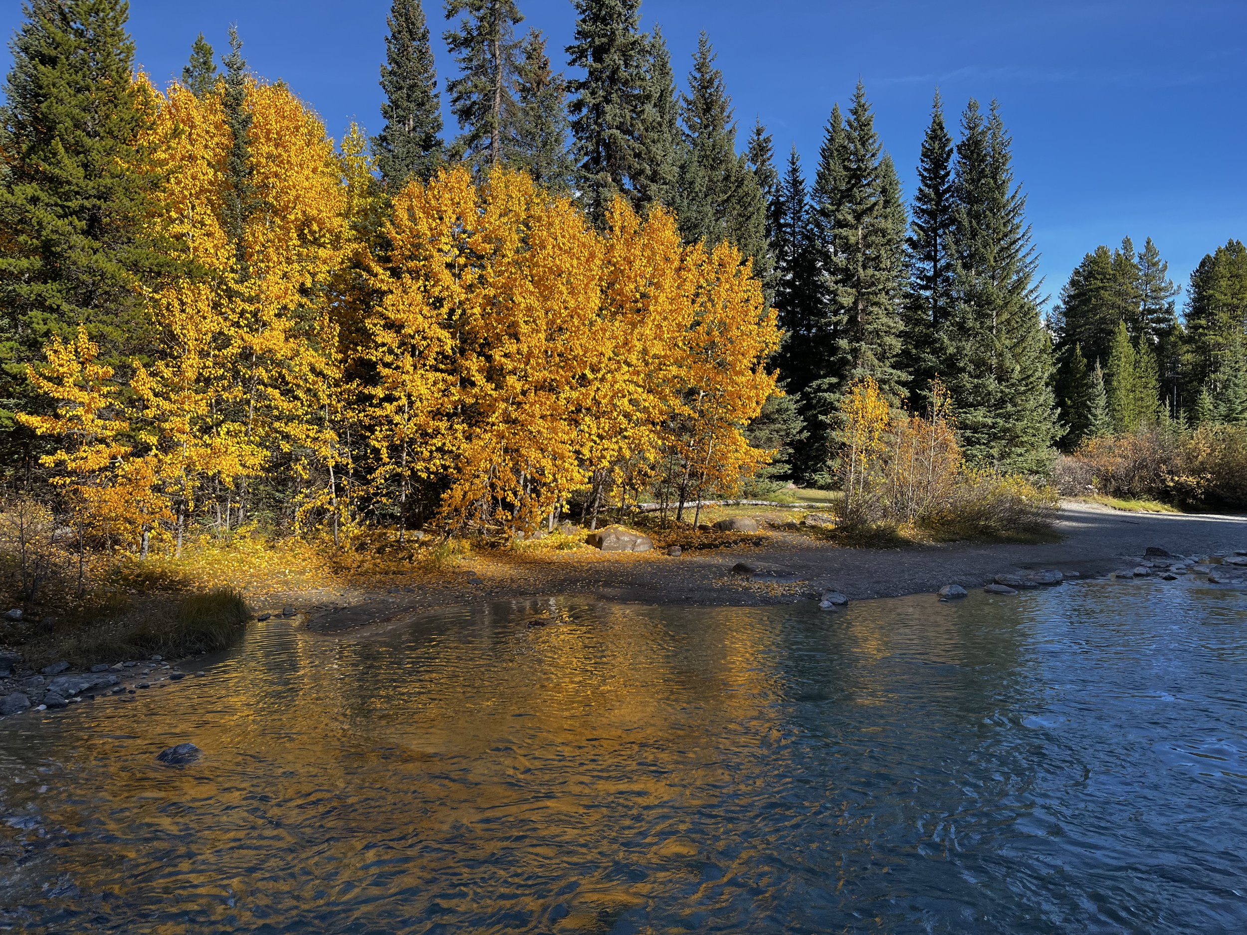 Support SECA’s direction and decision-making as part of the board. A great way to get involved at a leadership level and help shape the community.