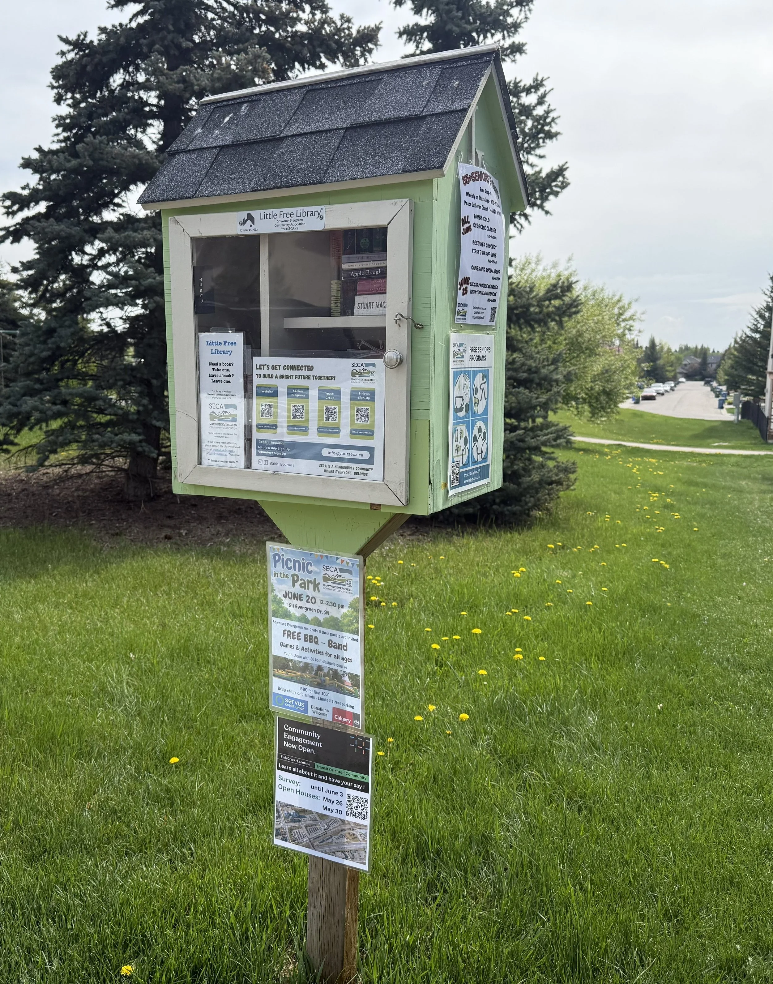 Green community information board with multiple posters and flyers beside a grassy area with dandelions and trees, with a parking lot and cloudy sky in the background.