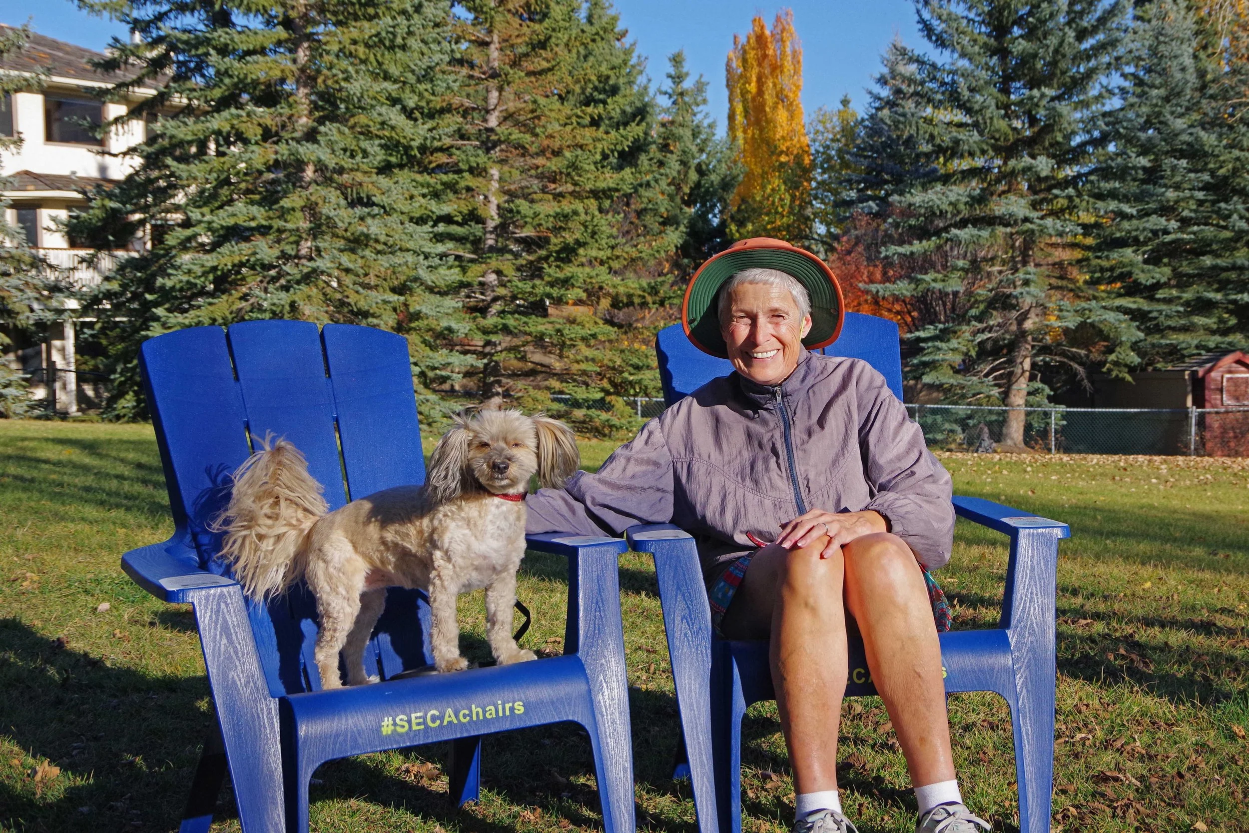 A smiling older man with gray hair wearing a large wide-brimmed hat sitting on a blue outdoor chair with two small dogs, surrounded by tall evergreen trees on a sunny day.