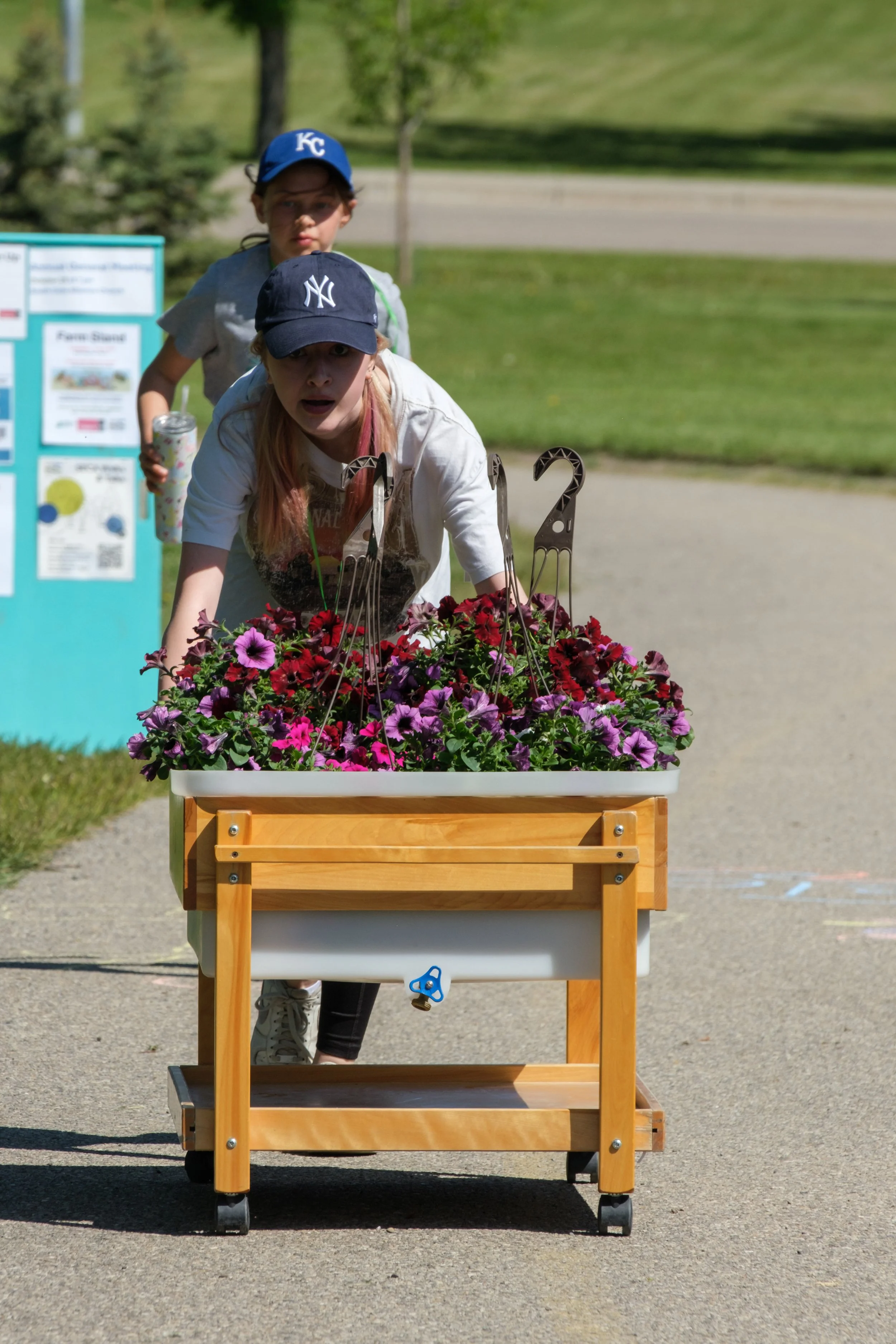 Two children pushing a cart filled with colorful flowers outdoors on a sunny day.