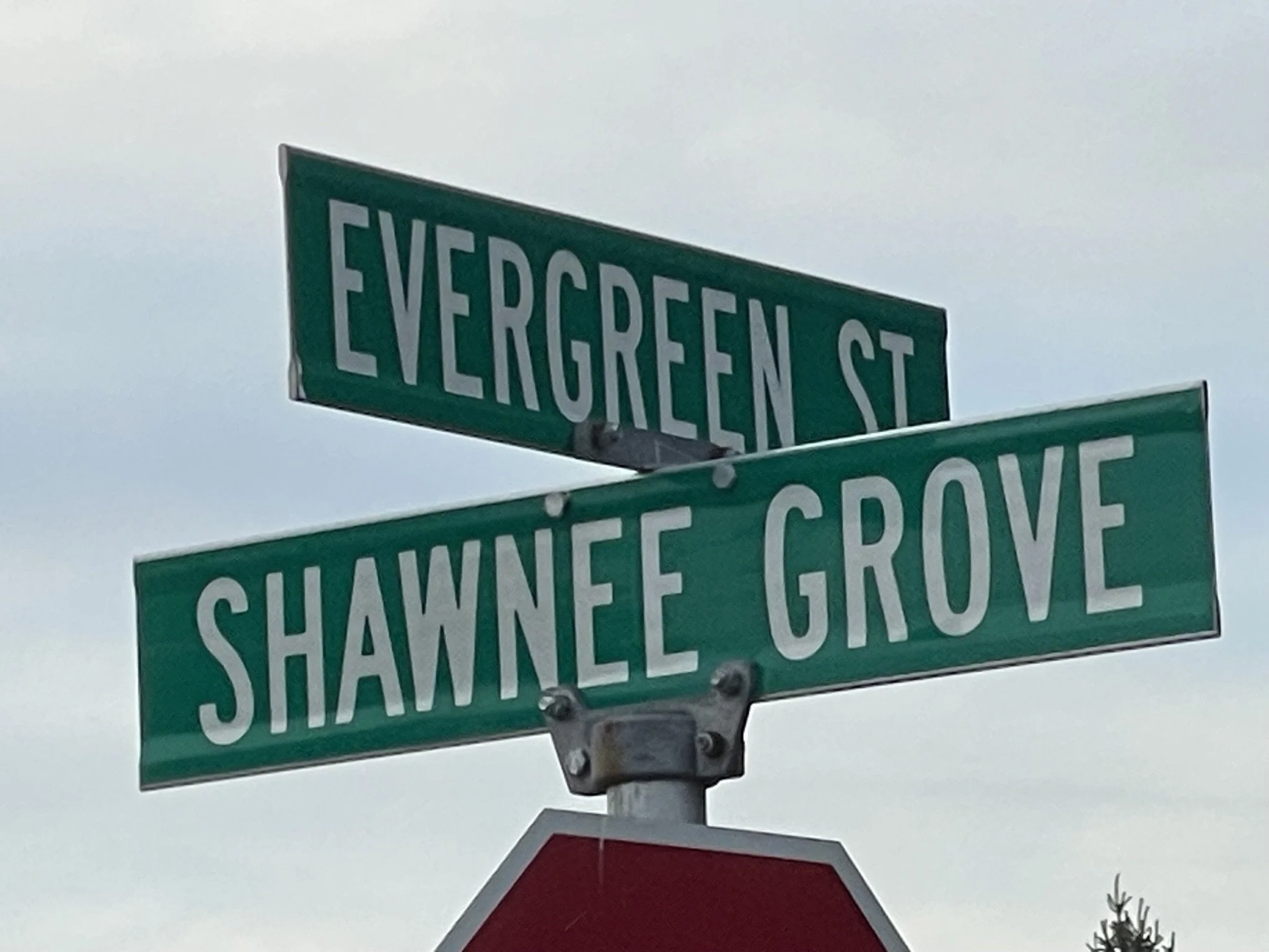 Street signs at an intersection with street names Evergreen Street, Shanie Avenue, and others, with cloudy sky in the background.