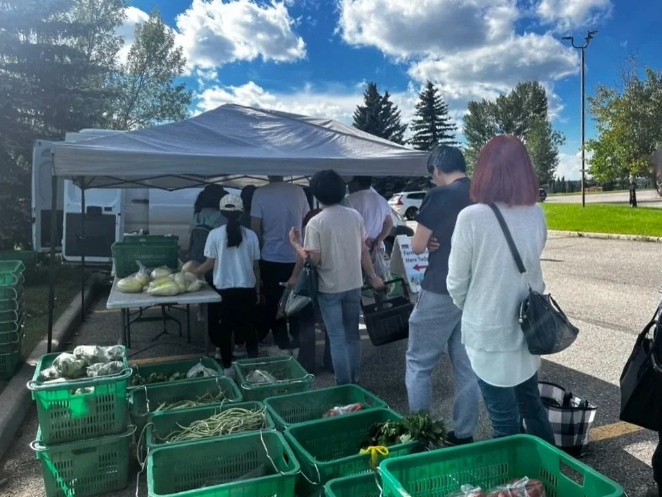 People shopping at an outdoor farmers market stall with fresh vegetables, including cucumbers and green beans, under a canopy on a sunny day.