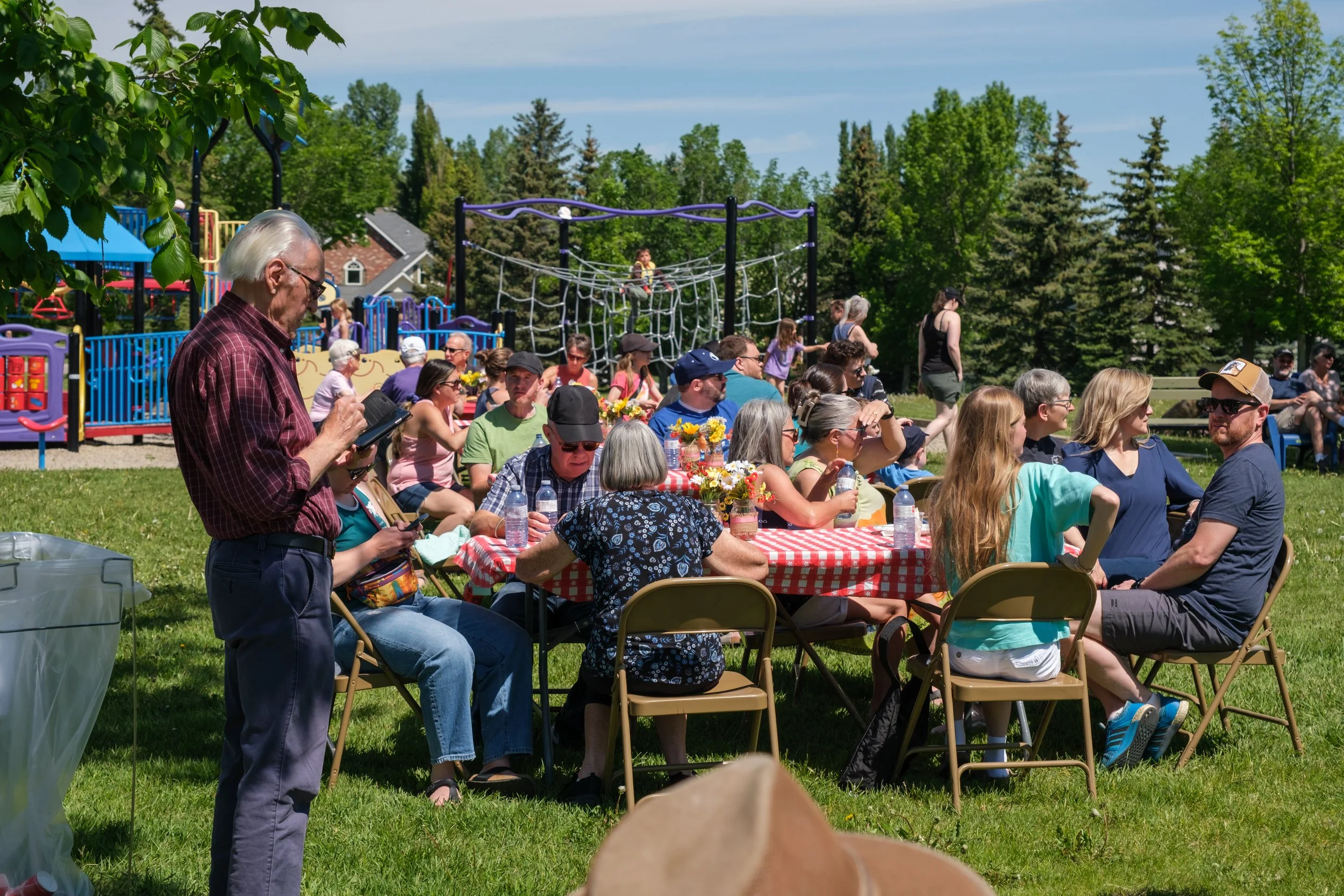A large outdoor gathering with many people sitting at picnic tables with red and white checkered tablecloths, surrounded by green trees and playground equipment, on a sunny day.