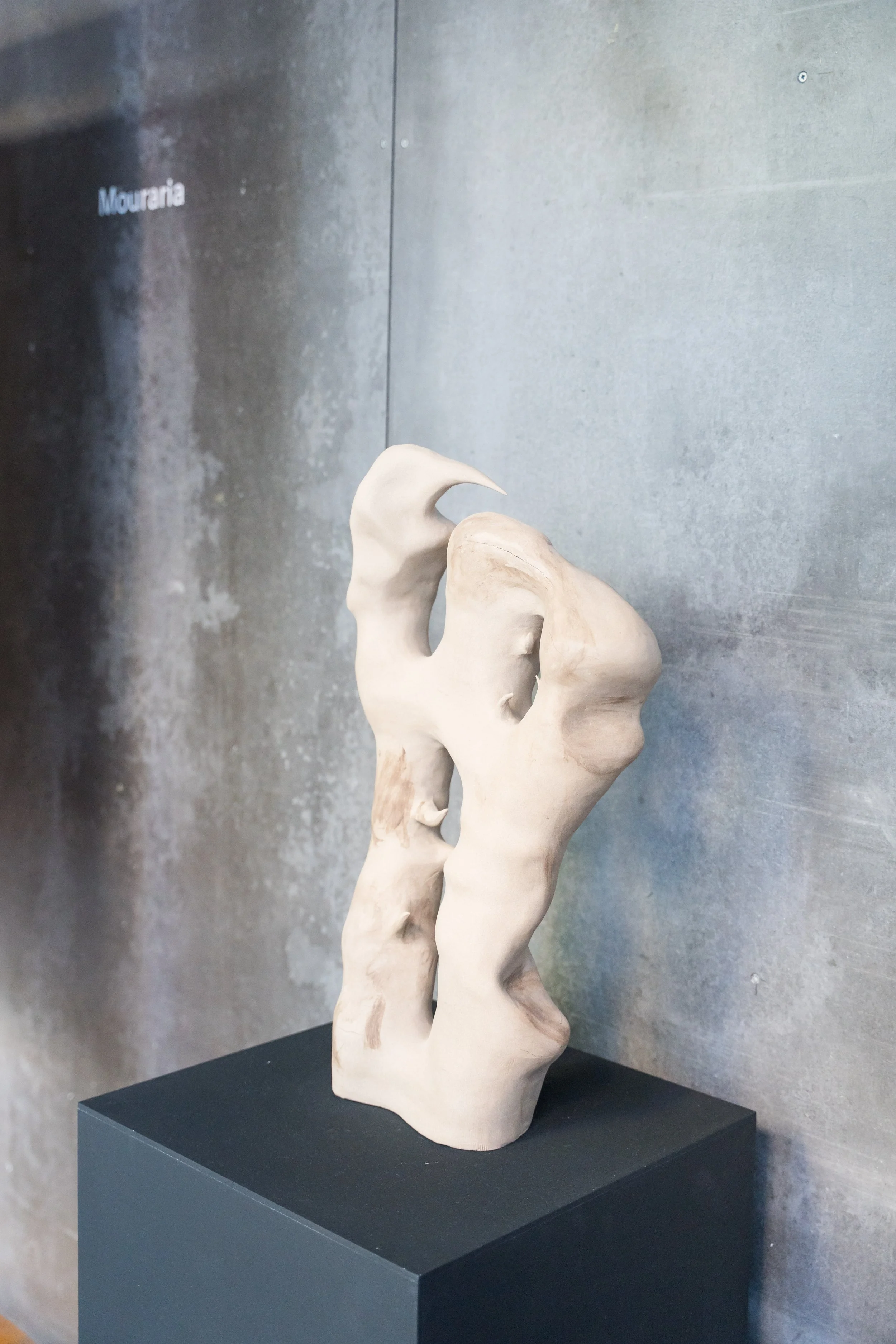 materia atemporal-08261.jpg