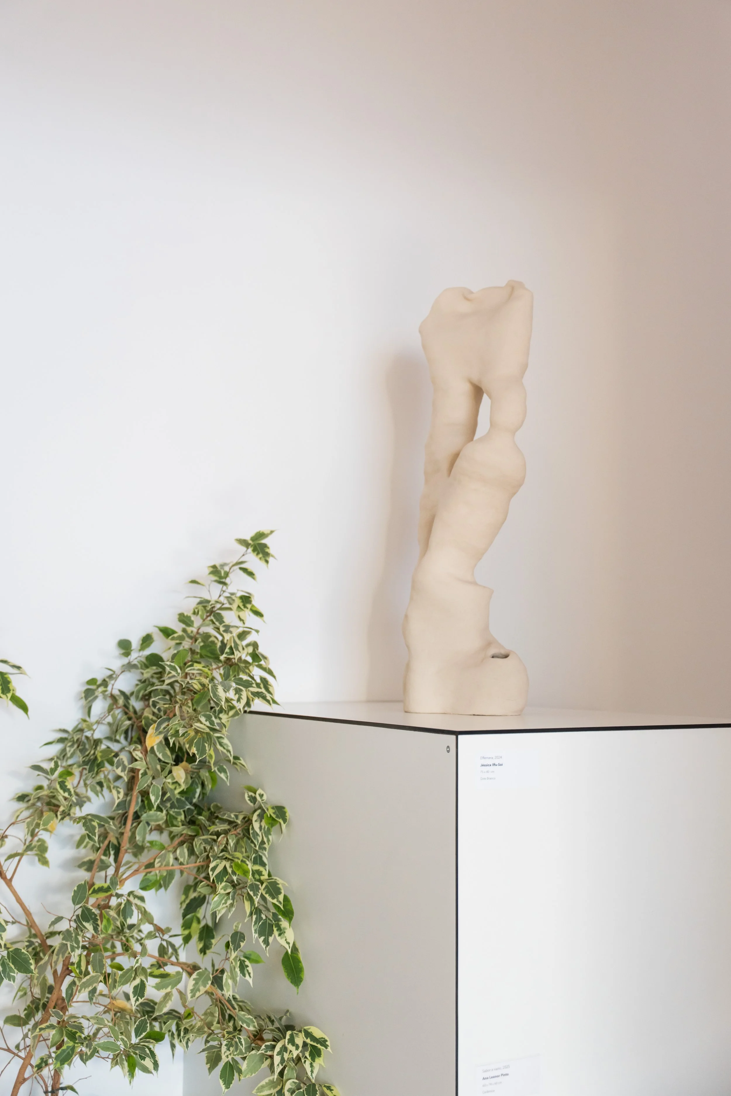 materia atemporal-07551.jpg